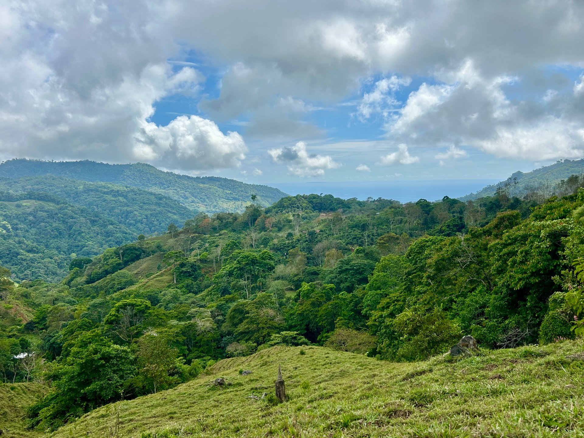 Gorgeous Land in San Luis Morete - Uvita - Over 17 Acres