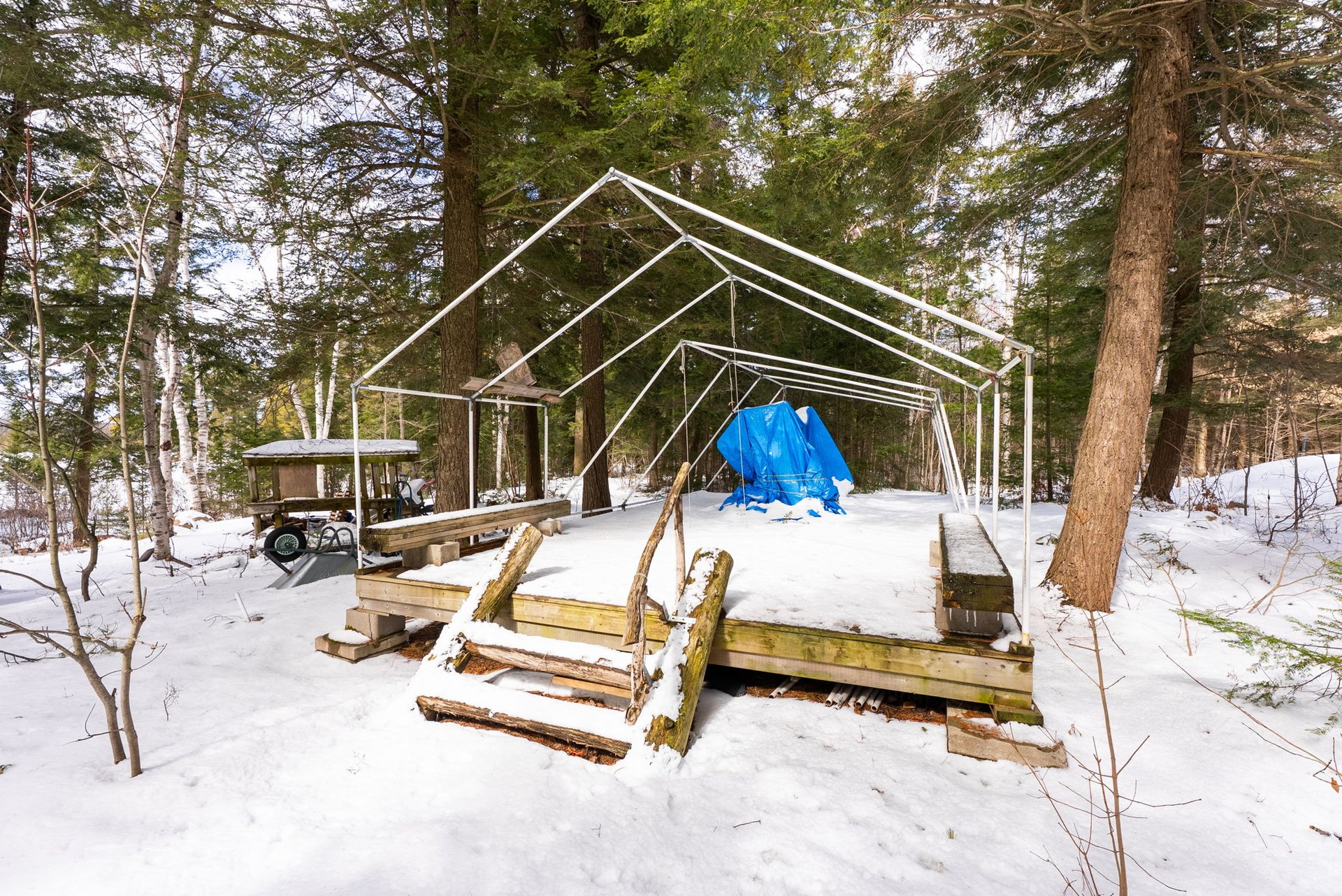 3301B Axe Lake Road