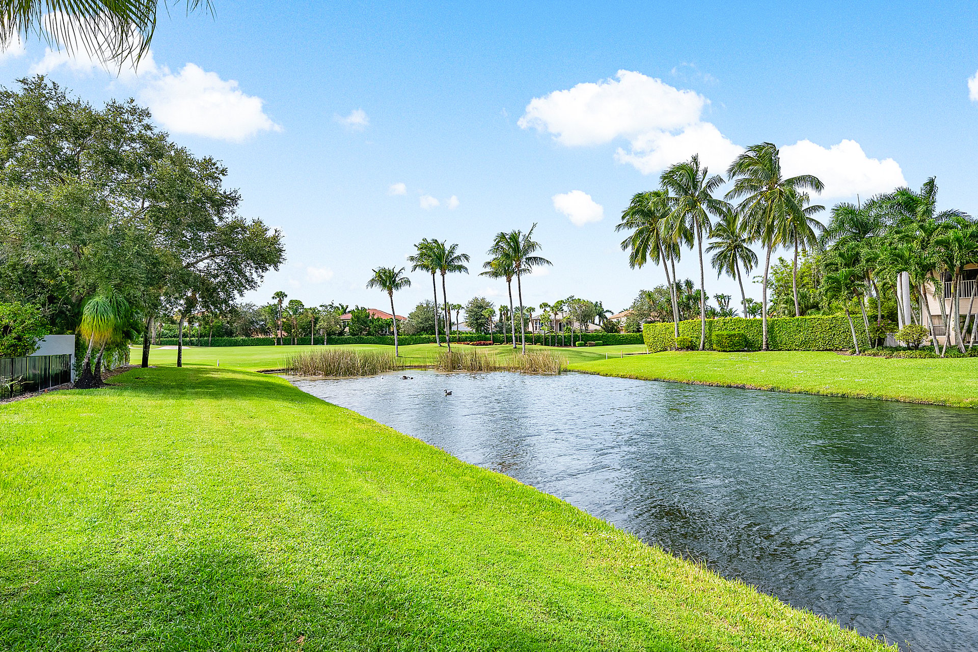 17311 Bridleway Trail
