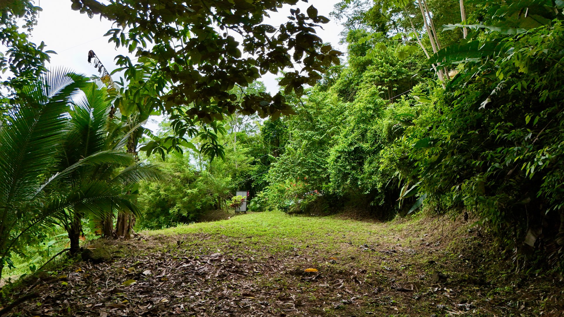 Tres Ríos Jungle Sanctuary | Ready-to-Build Lot Surrounded by Nature