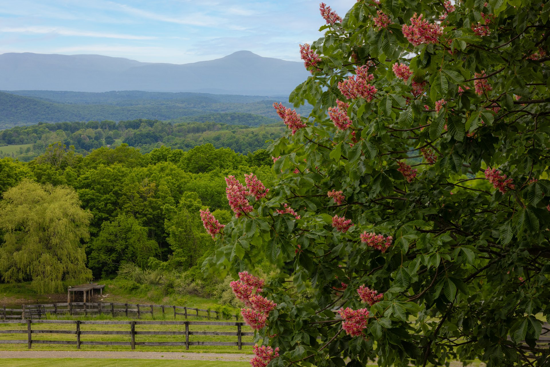26 Mountain Farm Road 
