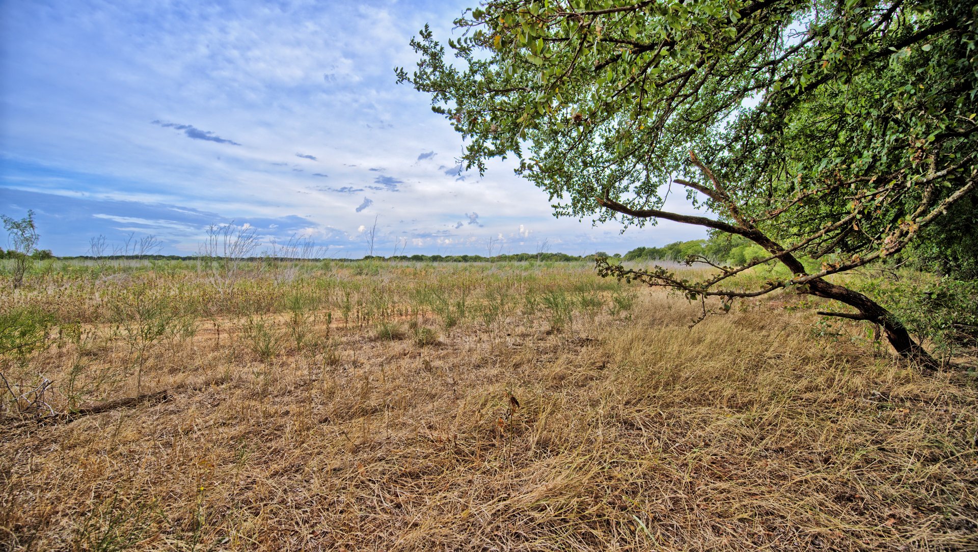 Cross Creek Ranch 