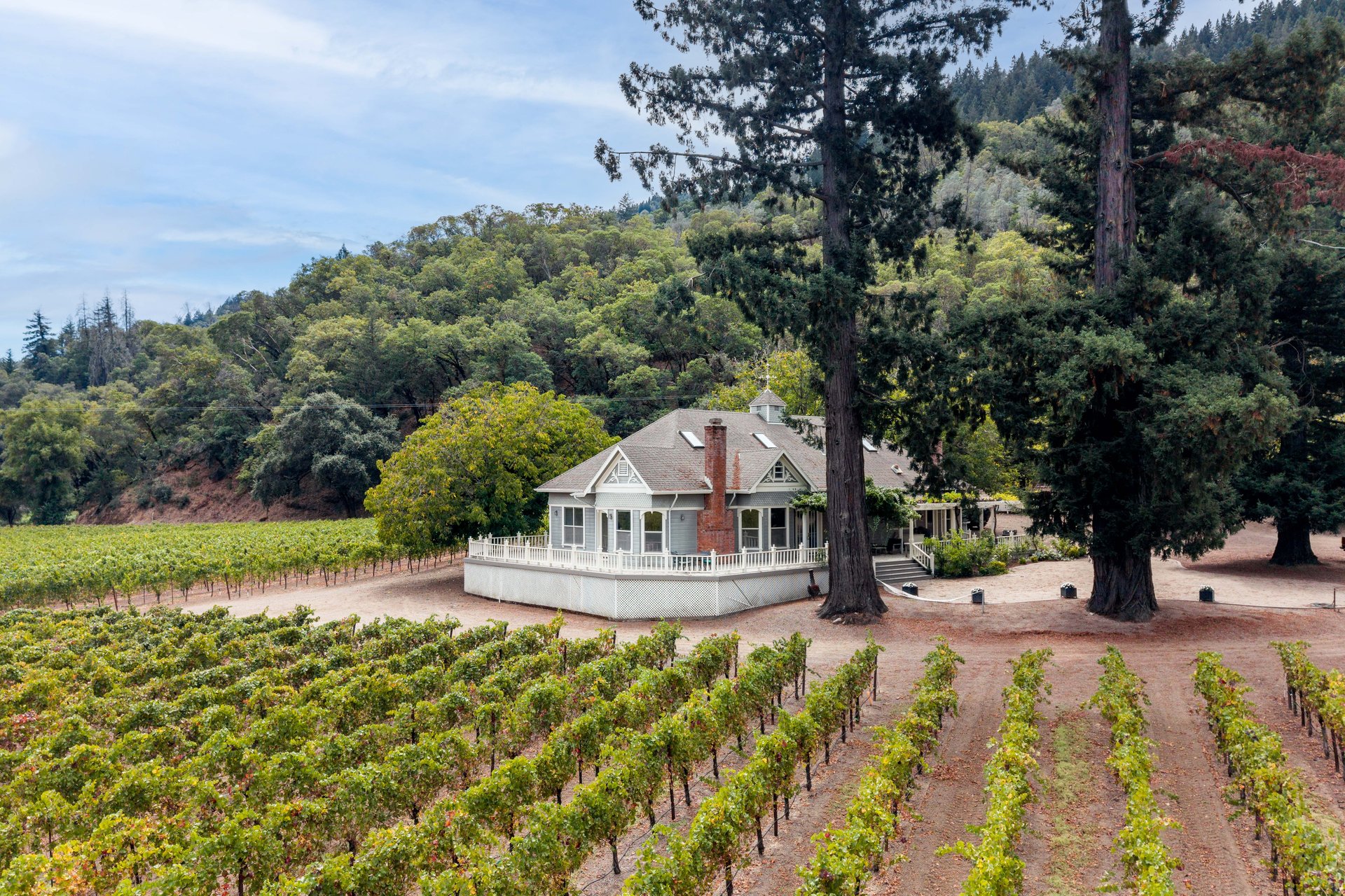 Valentine Vineyard