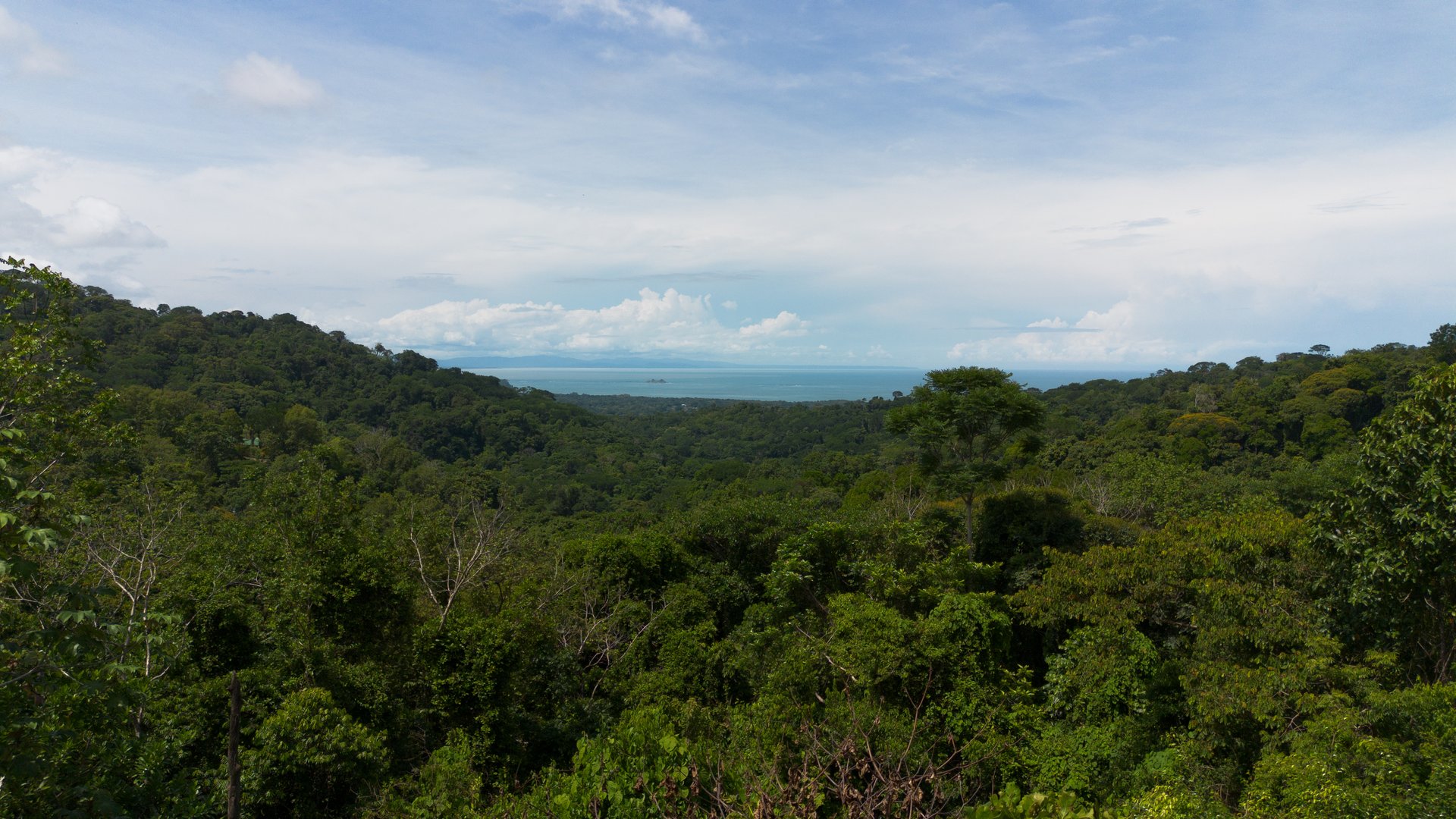 6.45 ACRES – 3 Bedroom Luxury Ocean View Home Surrounded By Vibrant Rainforest And Wildlife!!!