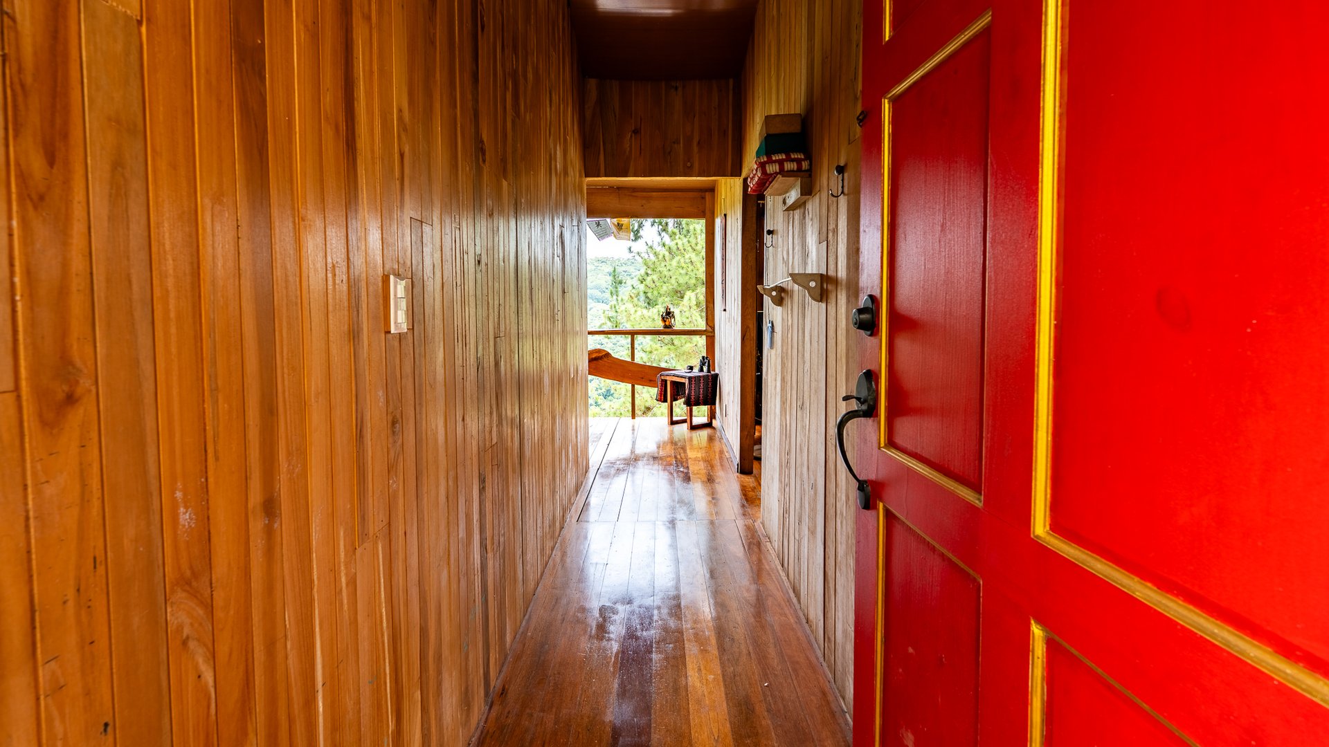Mountain Home with Guest Cabin & Additional Building Site Near Nauyaca Waterfalls