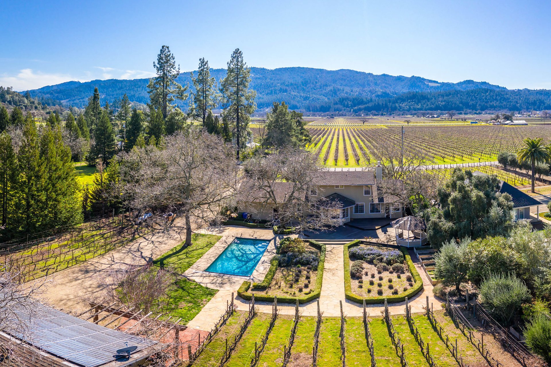 Vineyard Paradise - SOLD
