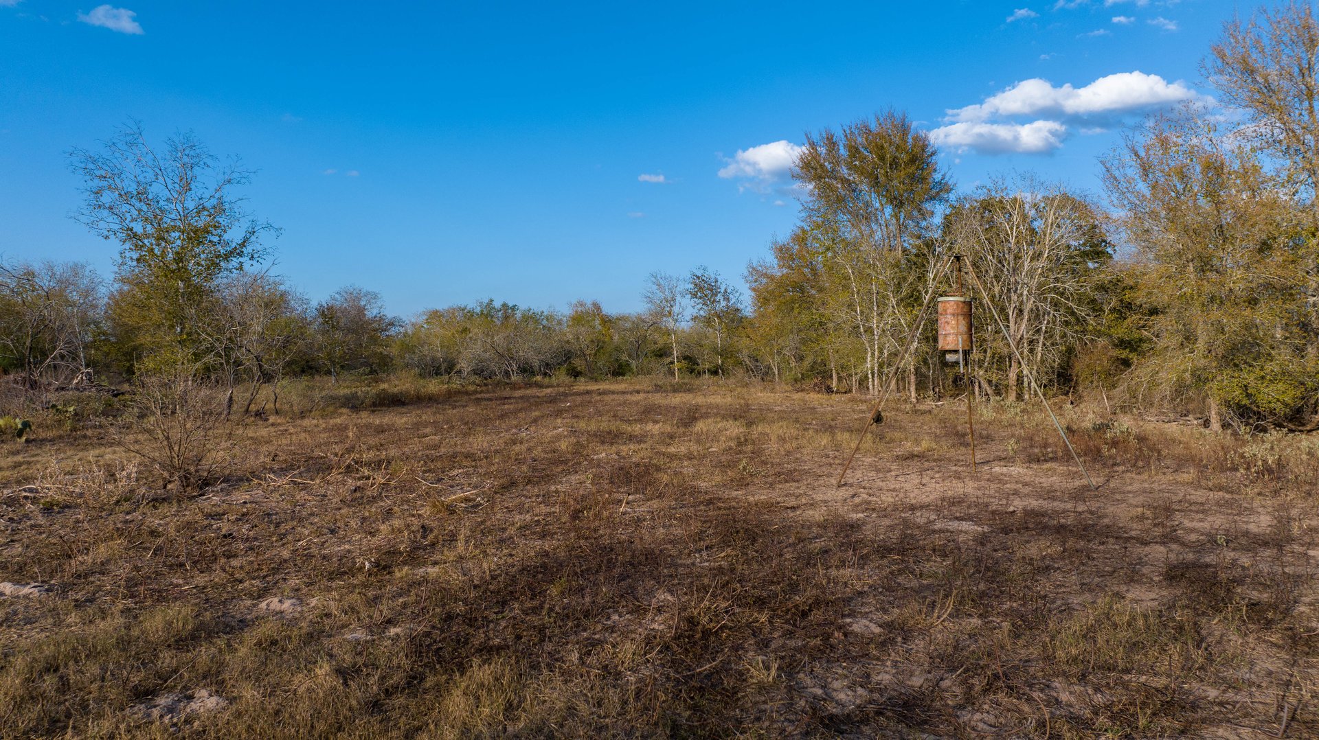 Gonzales County | 104+/- Acres