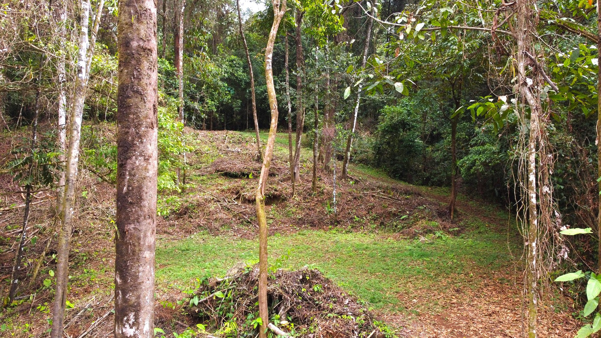 Mountain View Building Lot in Prestigious Gated Community With Private Waterfall & Two Building Sites
