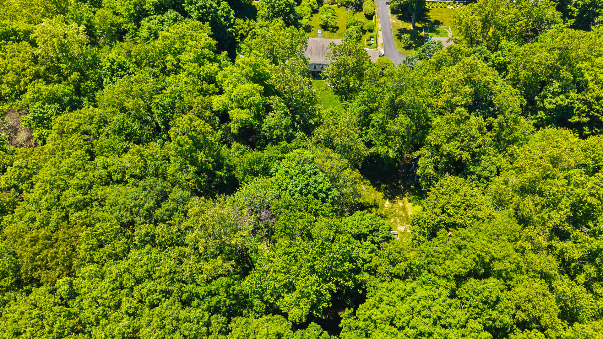 15A High Ridge Road