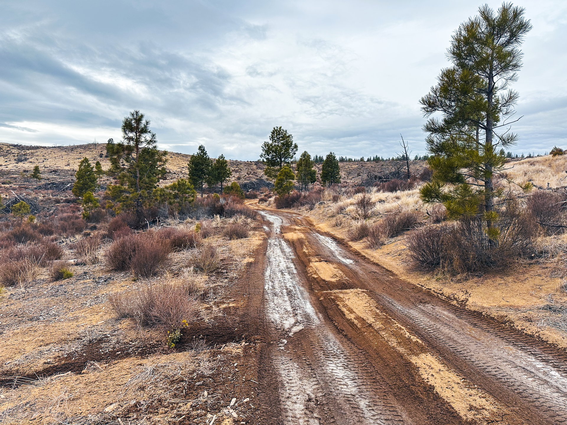 Klamath Basin
