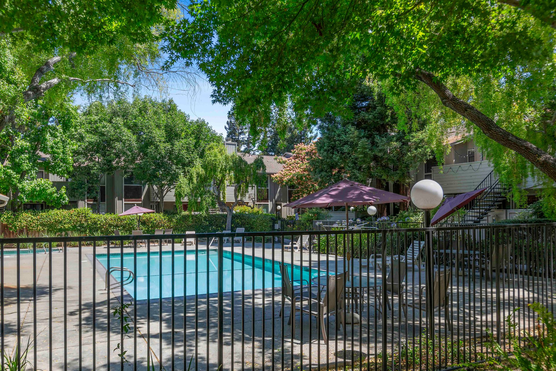 3852 Panda Place