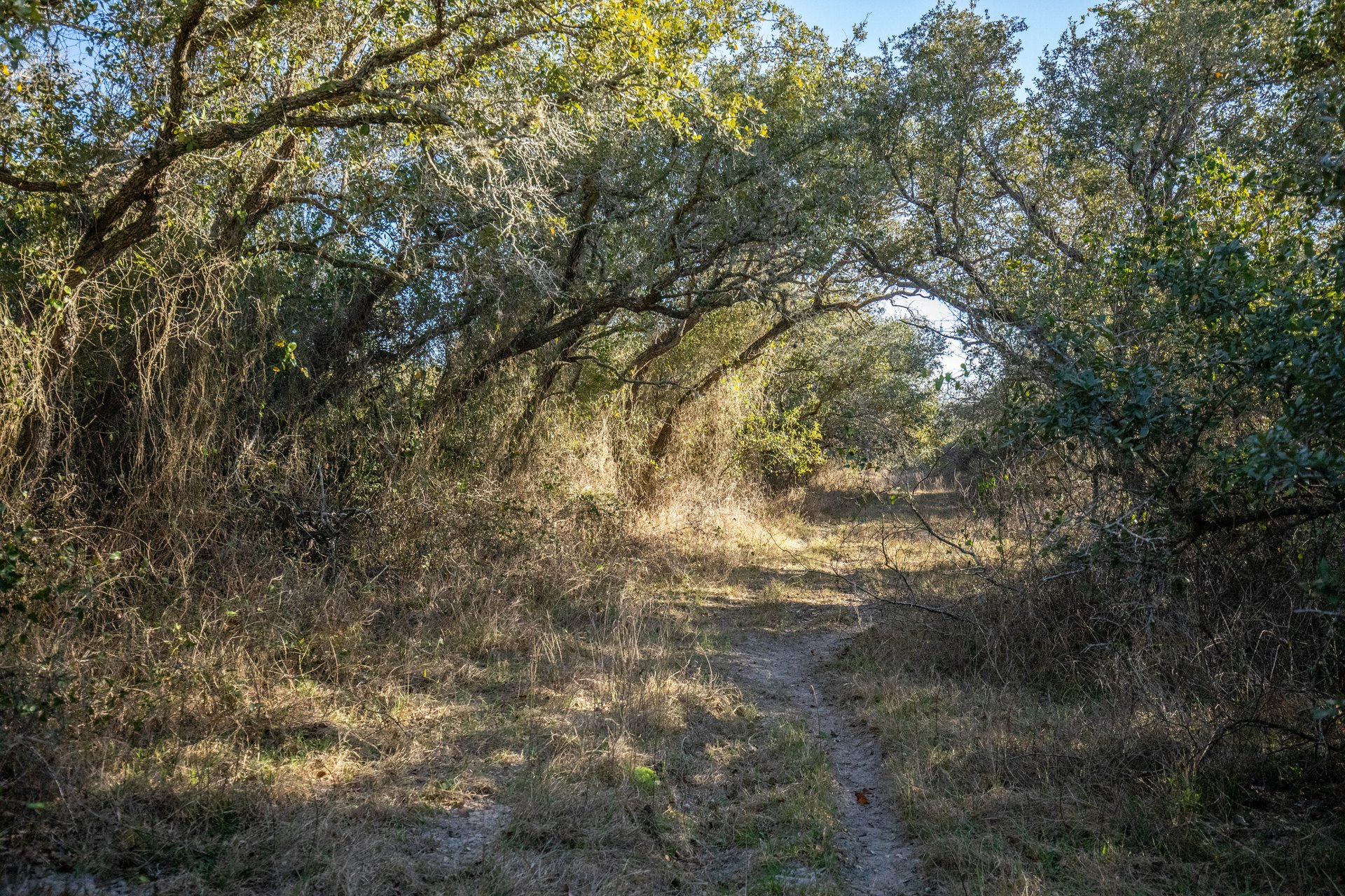 Lamar Peninsula Development Tract |  51.81± Acres | Aransas County