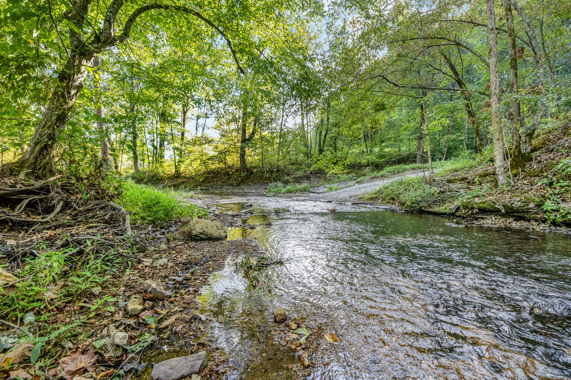 8192 Shoals Branch Road