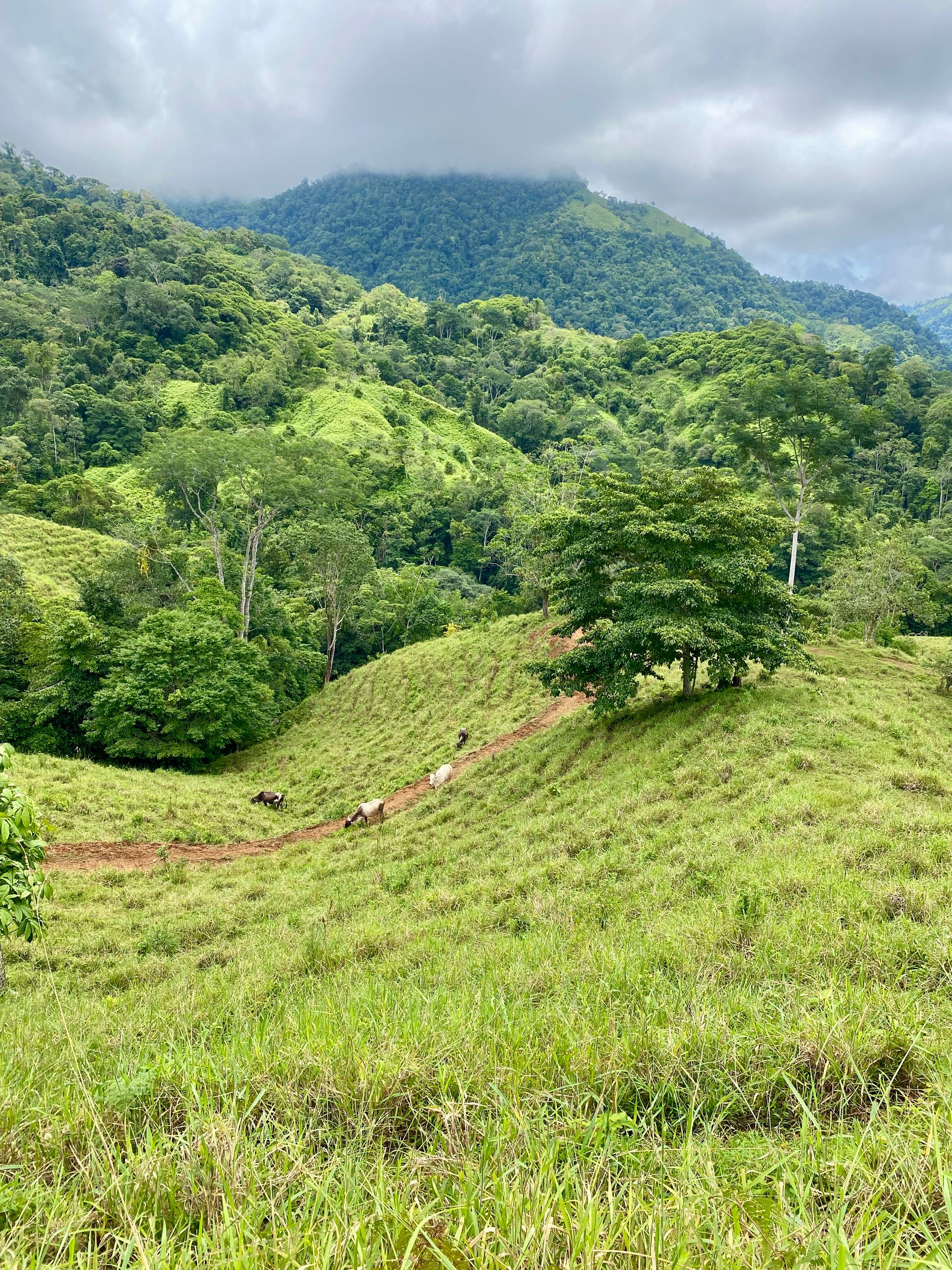 Spectacular 70 Acre Multiple Waterfall Property with Dramatic Views Near Ojochal