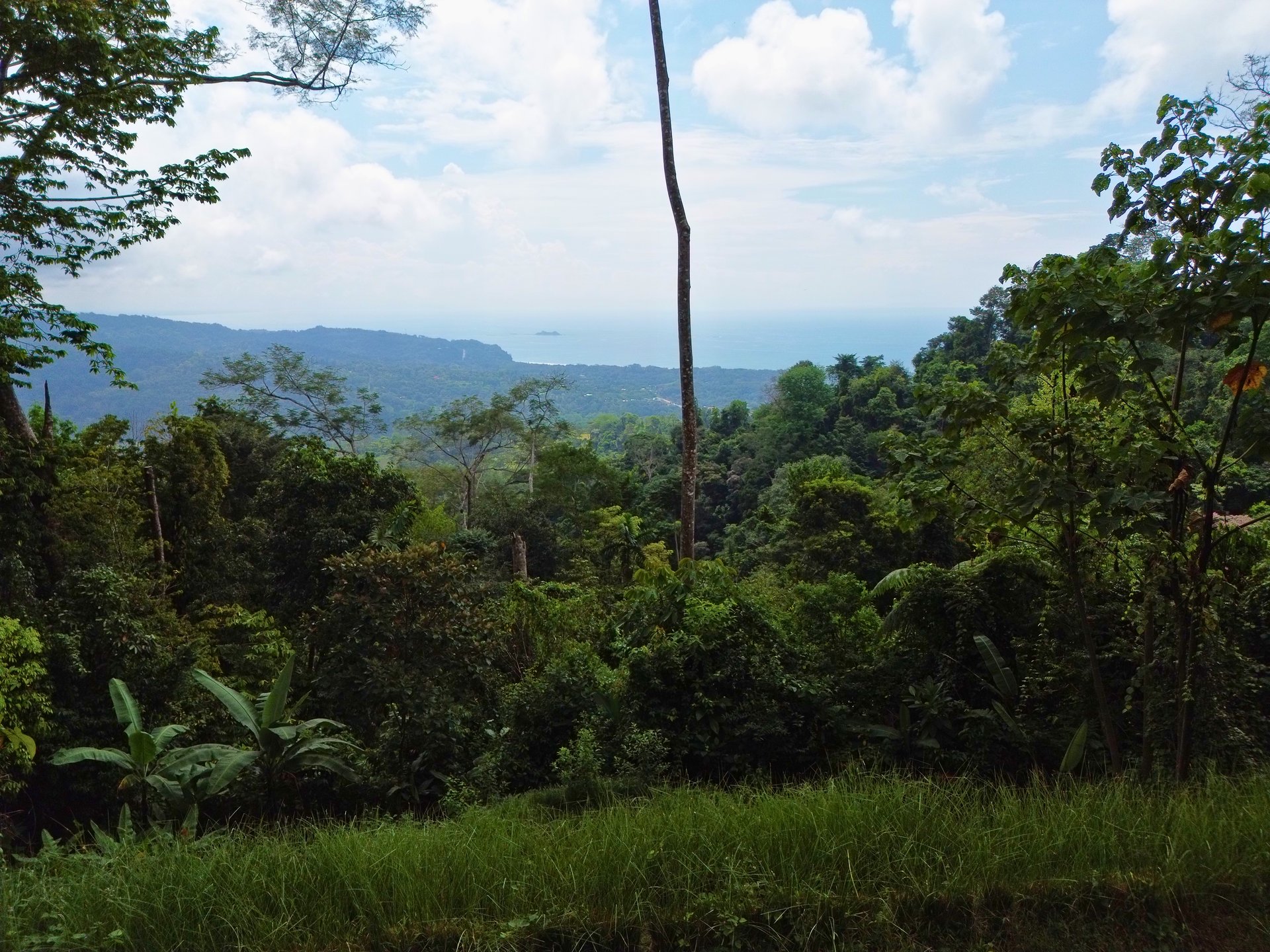 Build-Ready Ocean View Lot in Uvita Hills