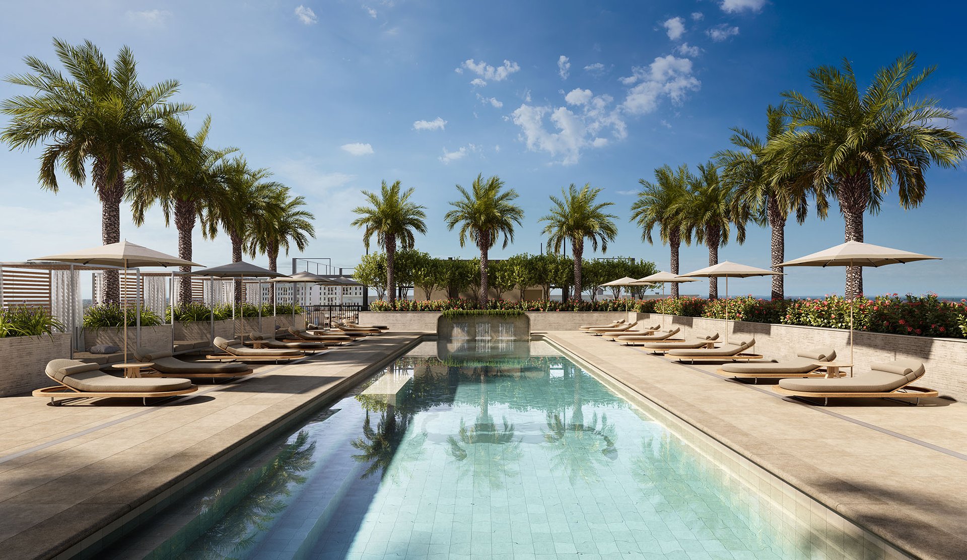 Rooftop pool terrace with palm trees, umbrellas, and rows of cushioned lounge chairs.