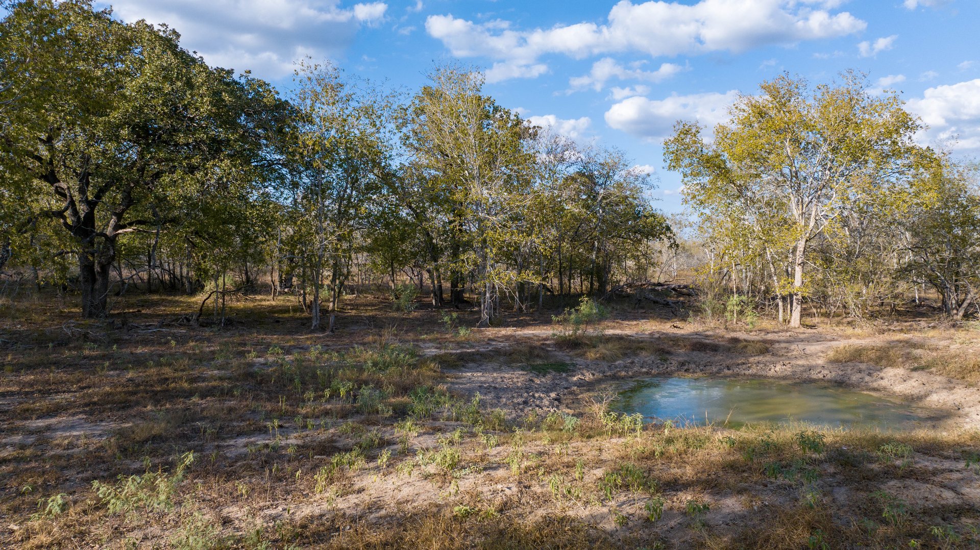 Gonzales County | 104+/- Acres