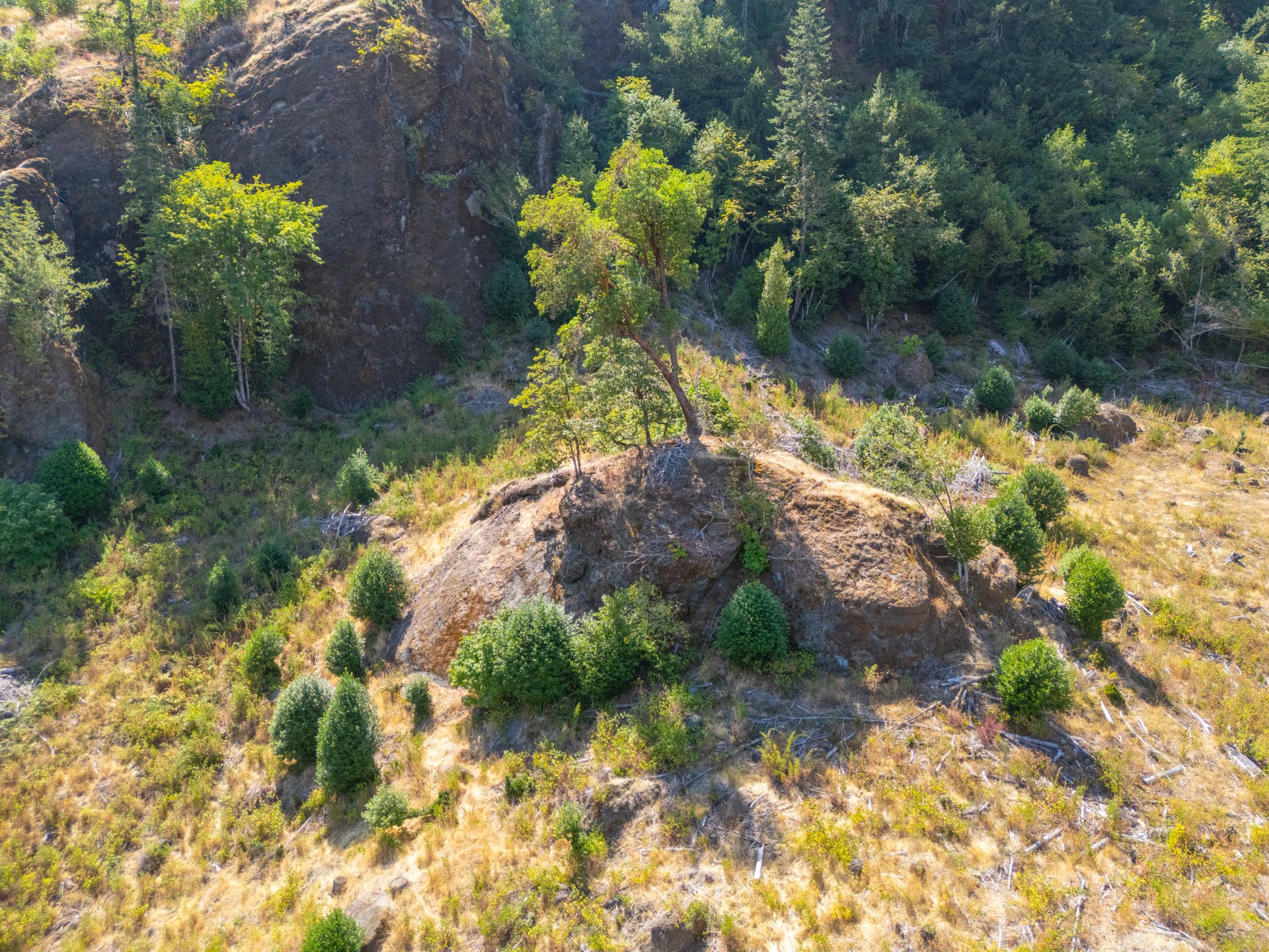 STRICKLAND CANYON HOMESITE
