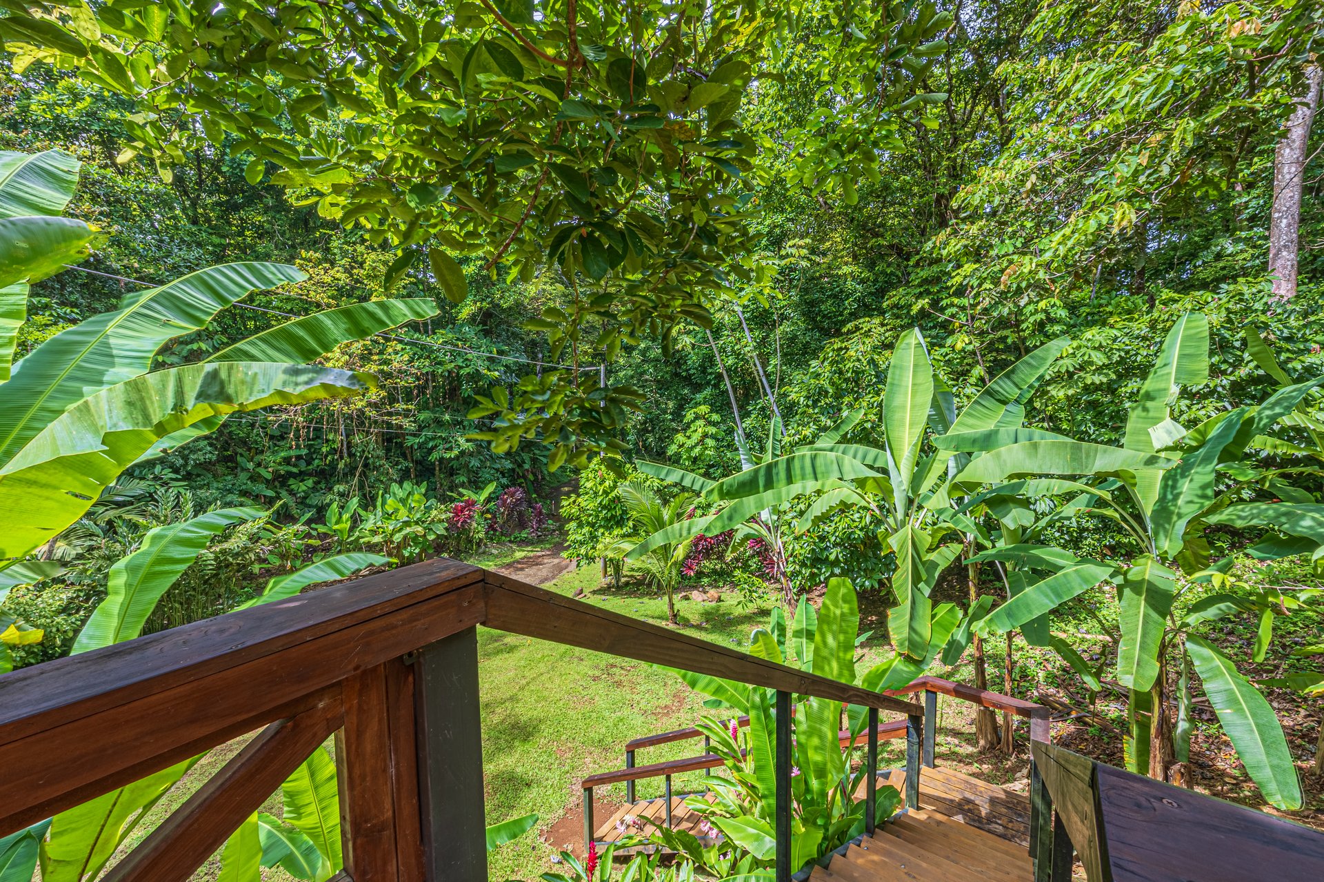 A Jungle House Built of Wood & River Dreams
