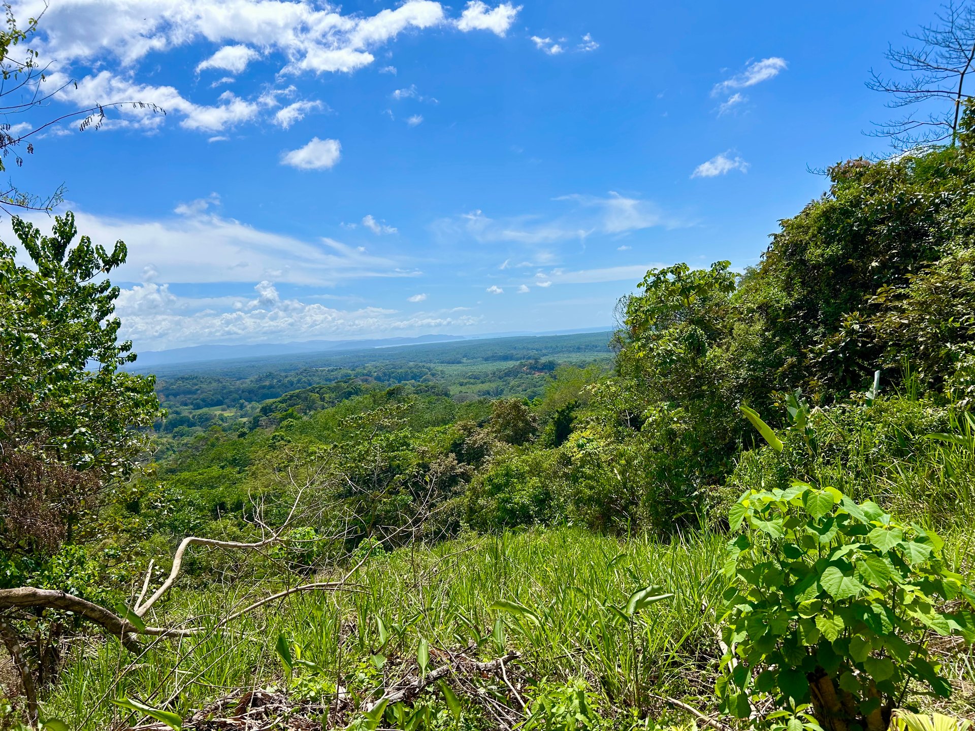 Price Reduced! Ocean View Lots in San Buenas – Just $70K Each