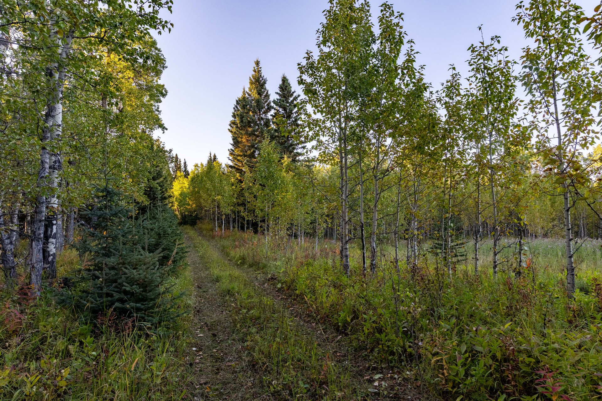 Sibbald Trail Estate