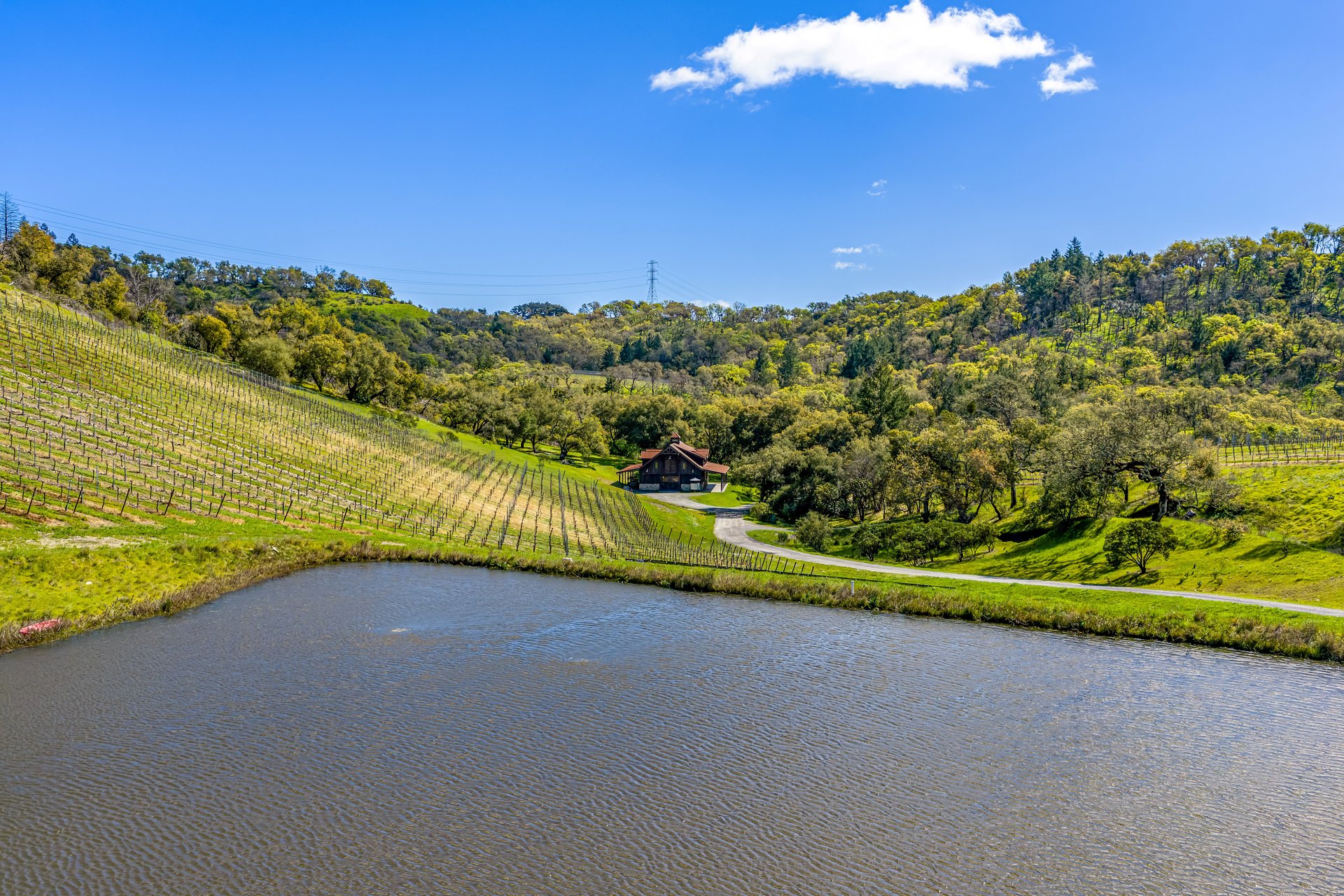 The Clearview Estate