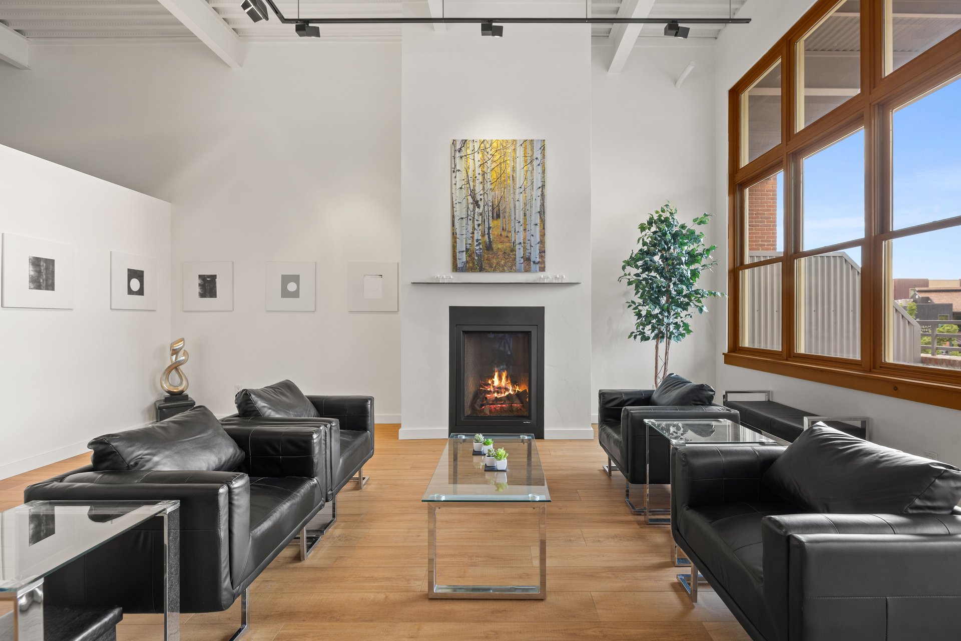 Triangle Lofts Gem