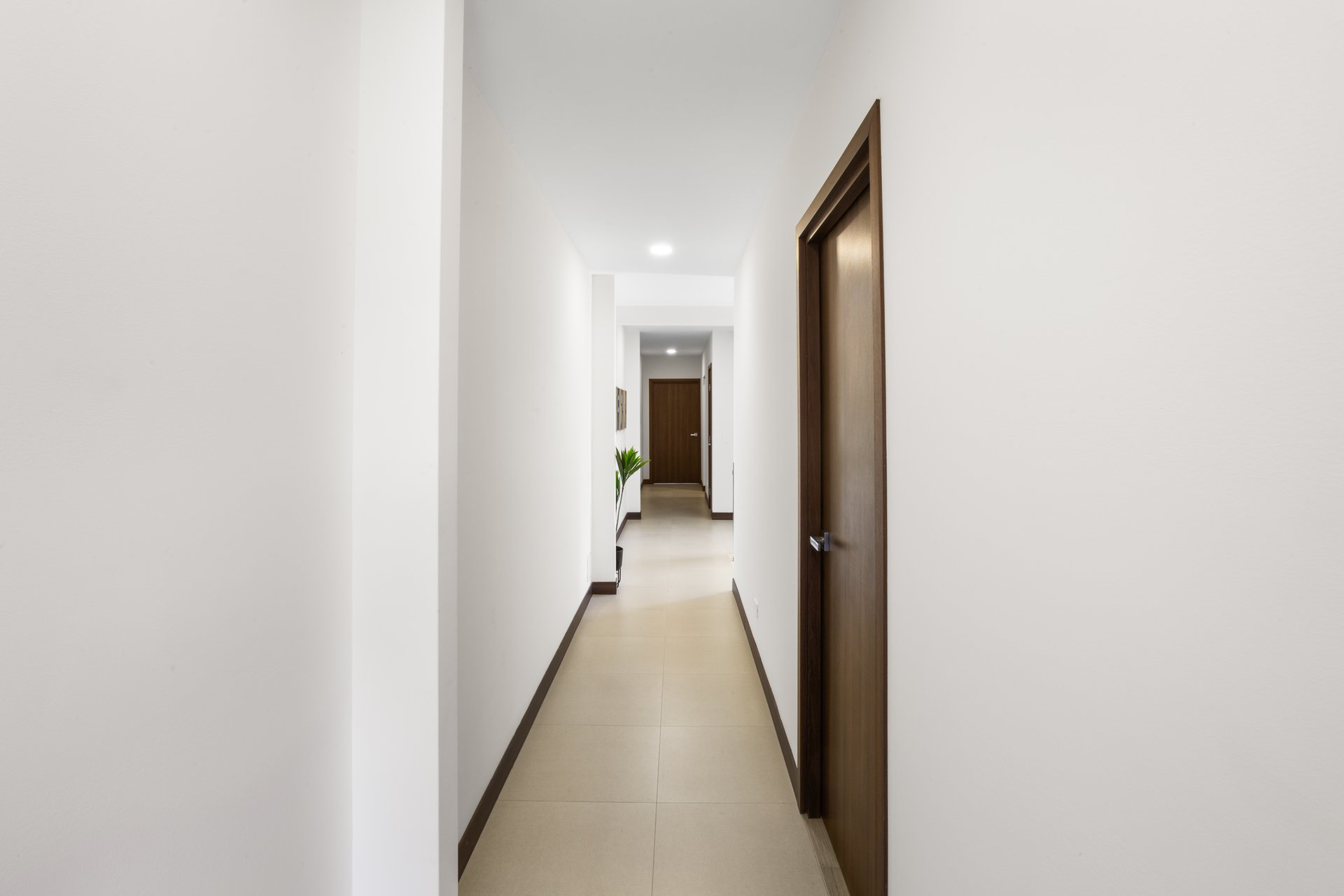 Flamingo Estates Luxury Home | Modern 4-Bed Retreat with Pool & Rooftop Terrace Near Beach & Marina