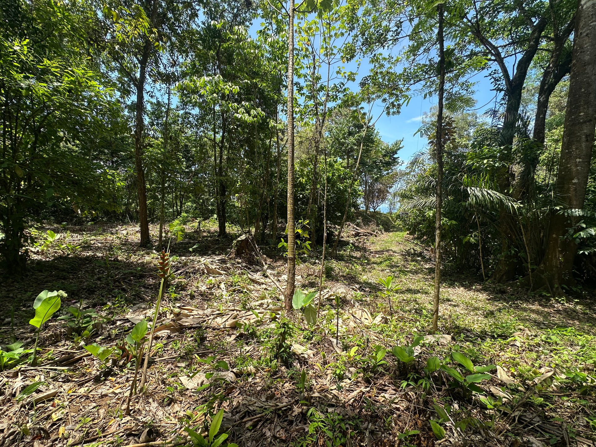 Ocean View Estate Lot with Private Waterfall – Uvita