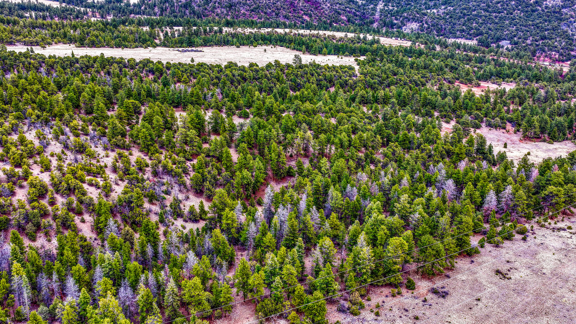 10475 County Road 12