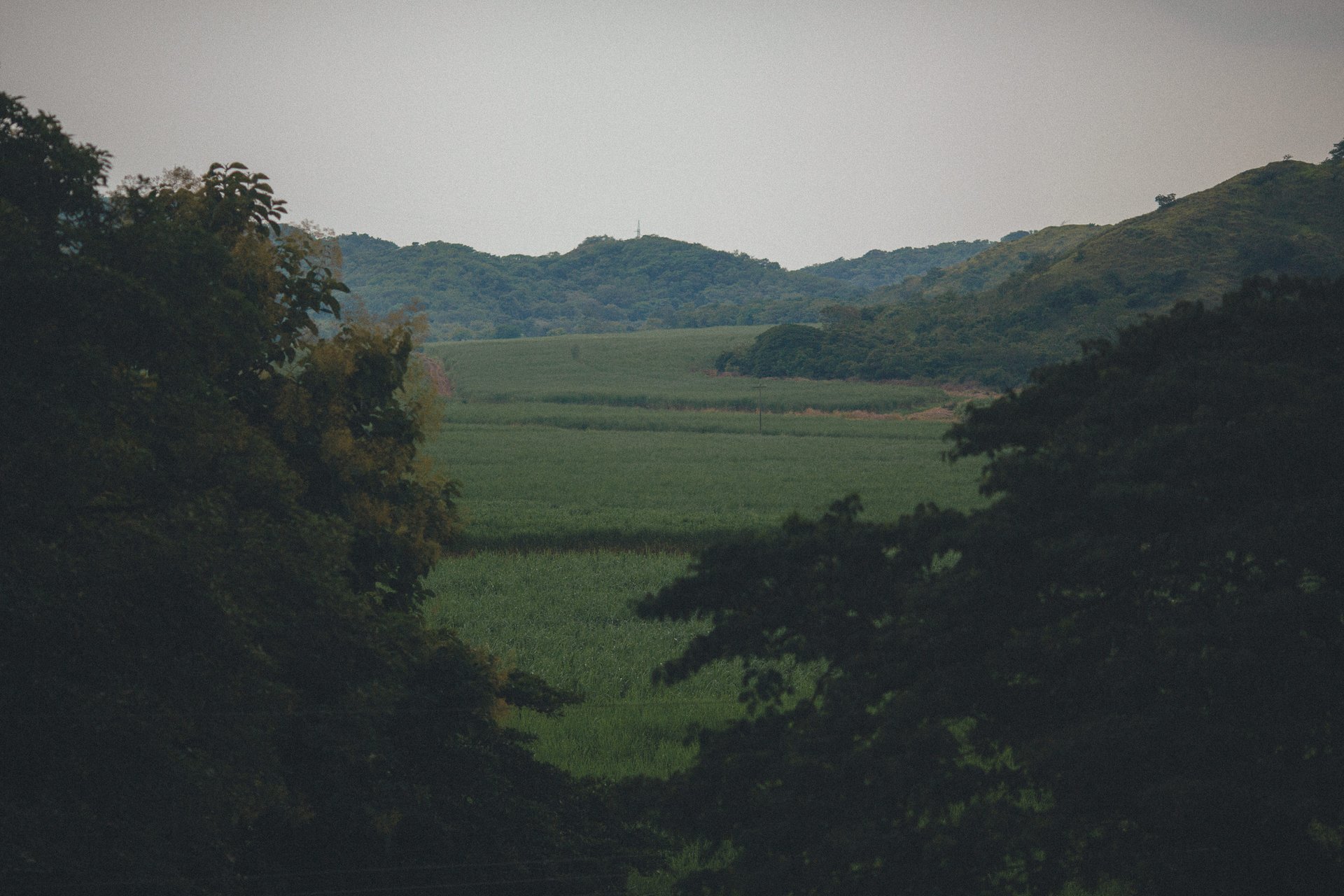  Punta Sabana & Mar Serena: Own the Last Great Coastline in Costa Rica!