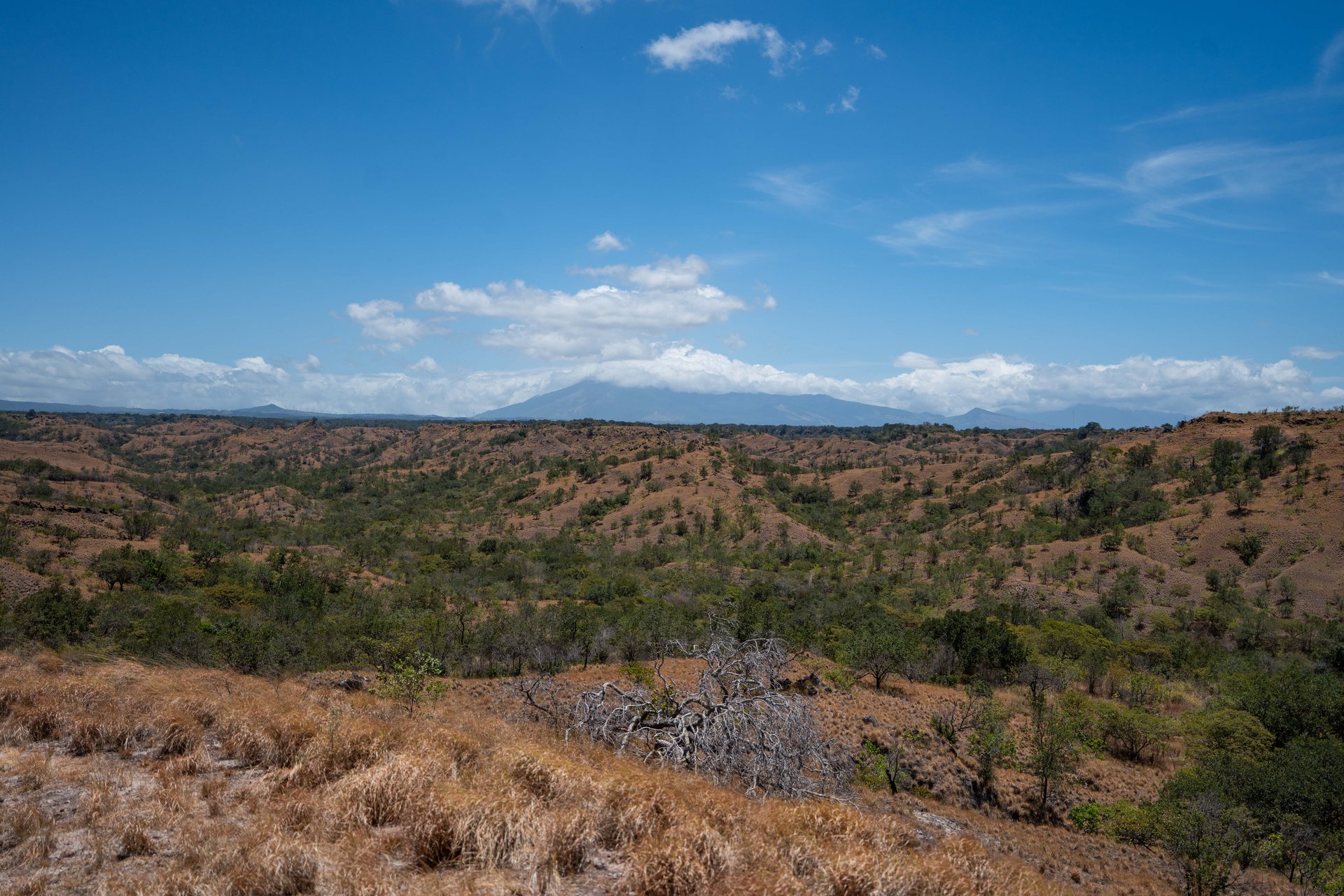 Hacienda Ruiseg | A Stunning Farm and Sprawling Countryside Retreat in Costa Rica