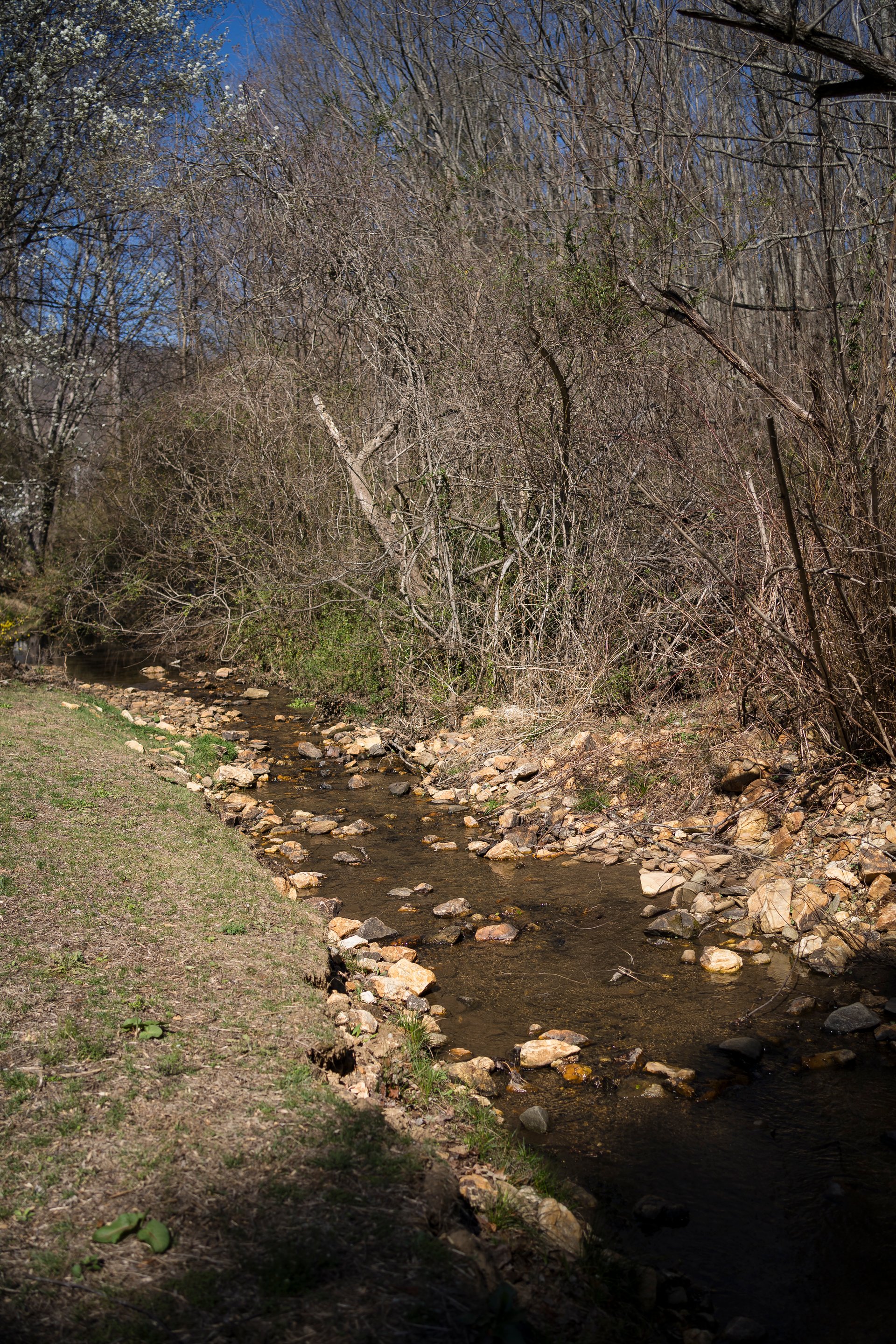 879 New Haw Creek Road