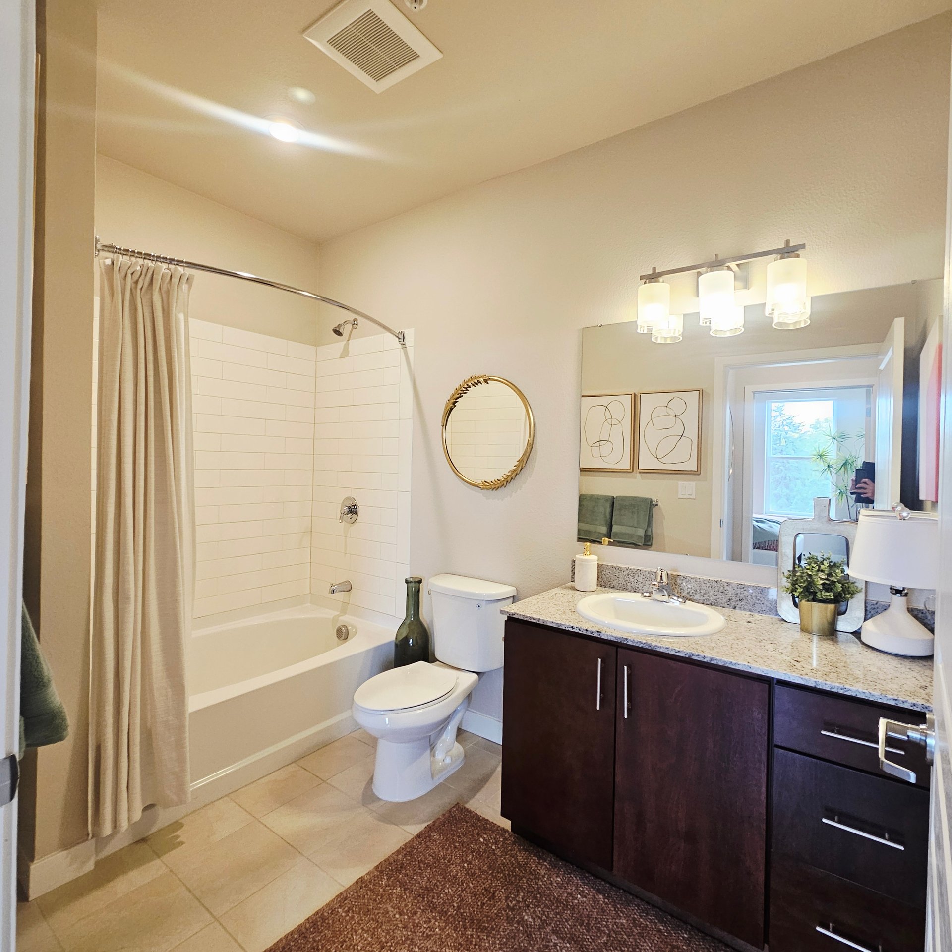 1 Bed 1 Bath Apartment Near City Park Denver