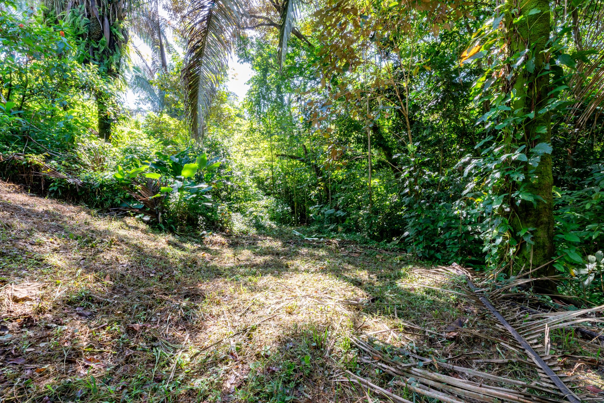 Surfers Paradise! Two Usable Lots for Building in Playa Hermosa Near Uvita!!