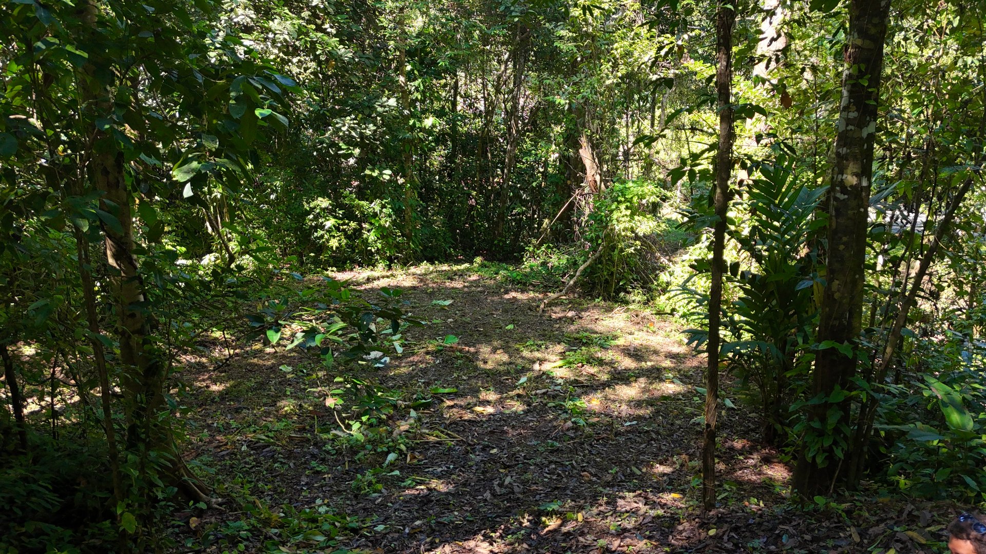 1.4-acre gated lot in Uvita.