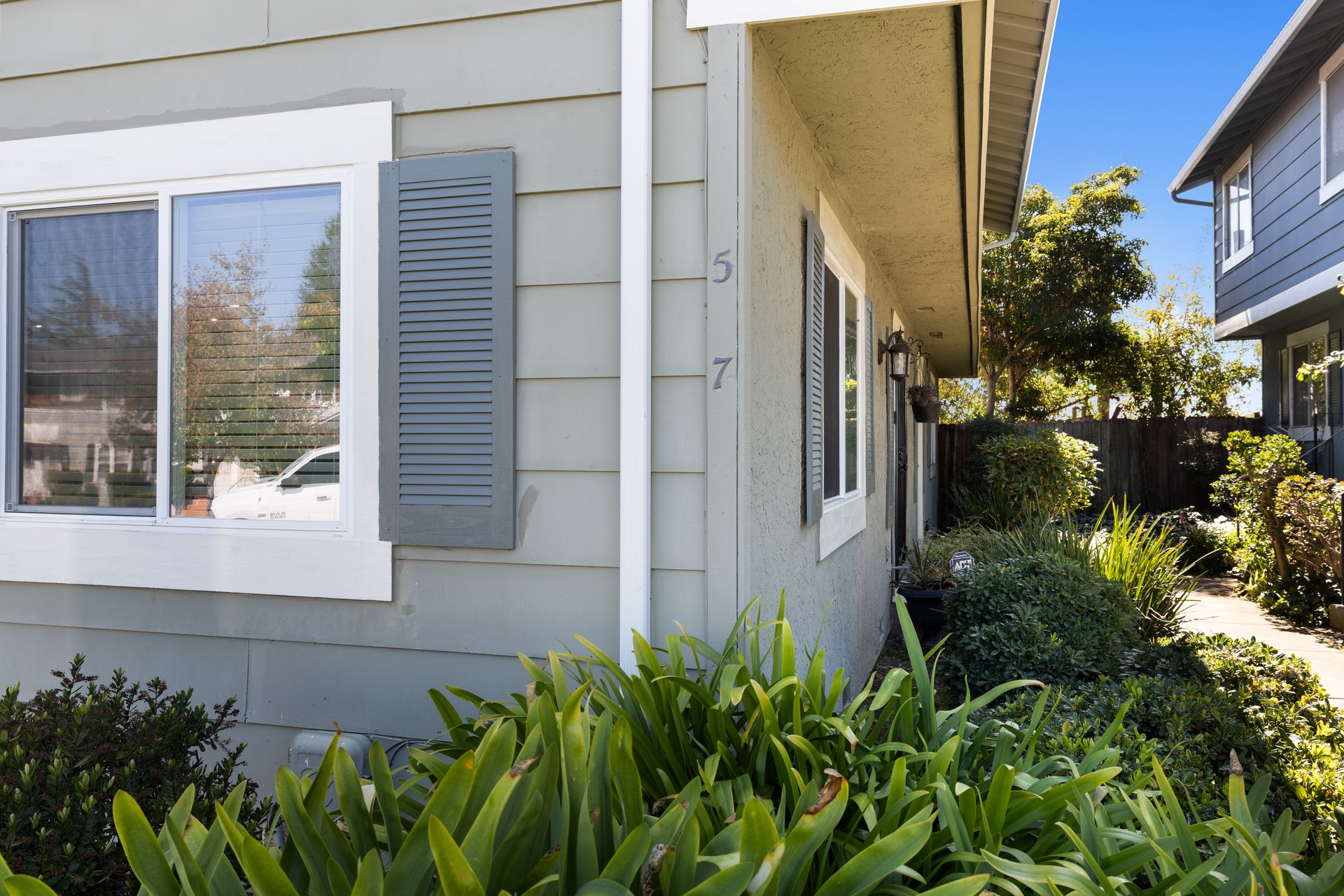 5 Parrott St