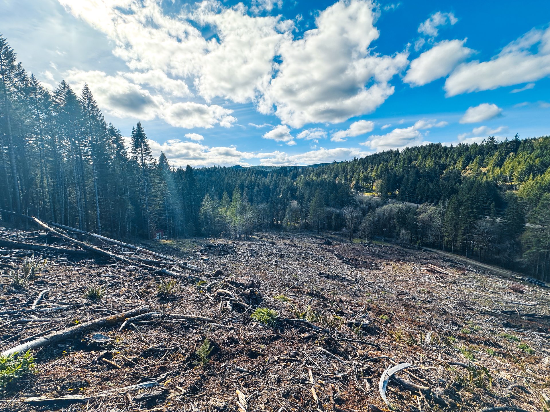 Sharewater Homesite