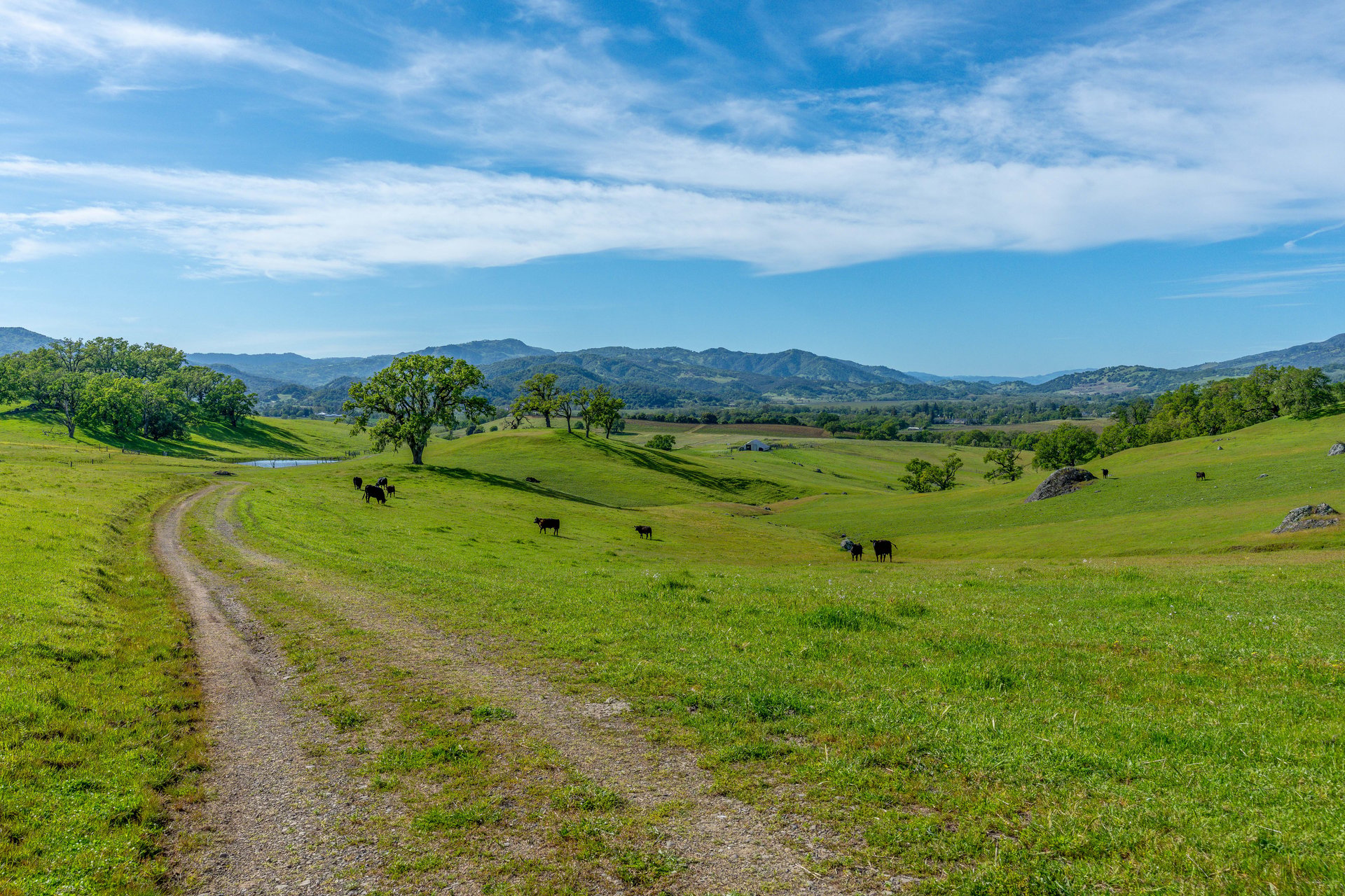 The Hopland Hills Ranch