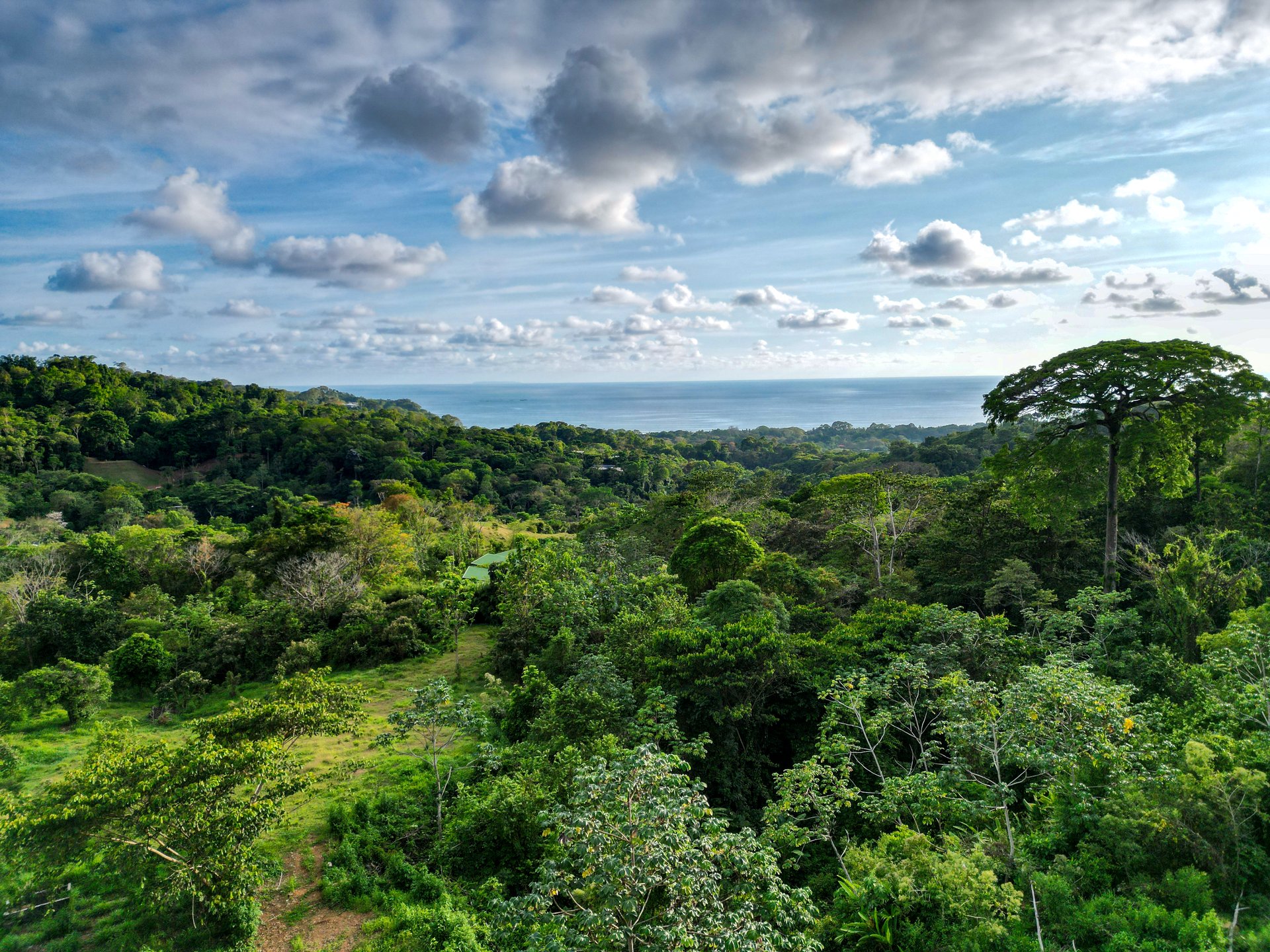 Build Your Vision in Uvita – 15.9 Ocean View Acres with Easy Access + Utilities Ready!