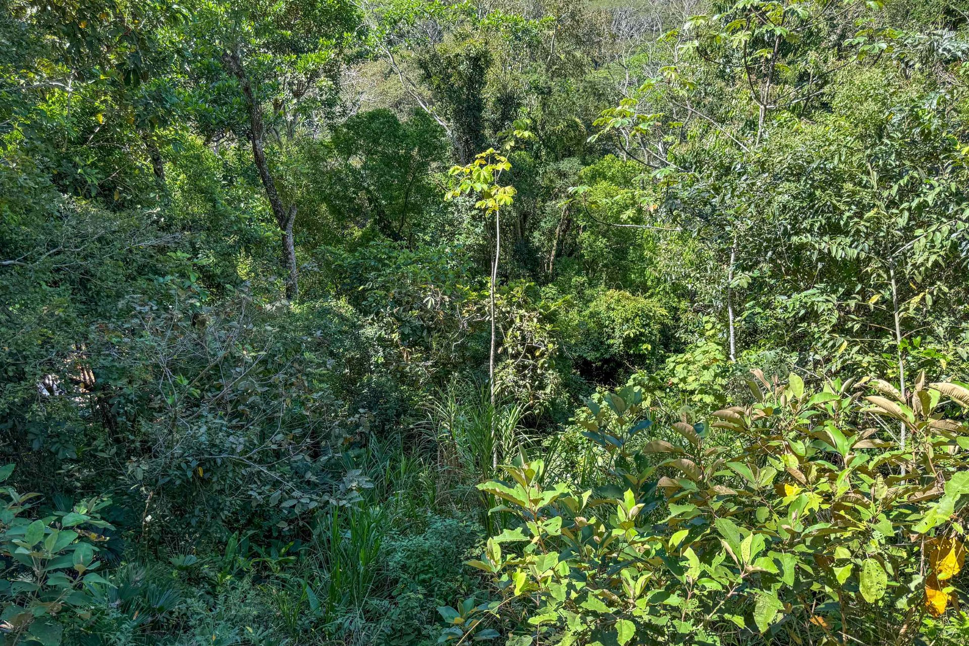 Totally Remodeled Coastal Jungle 2-Bedroom Sanctuary Home with Valley & Ocean Views in Lagunas above Dominical Costa Rica