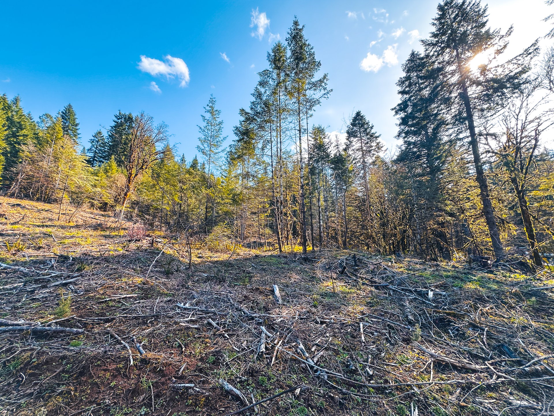 Sharewater Homesite