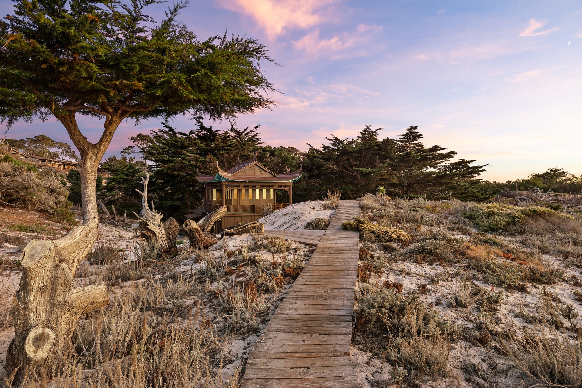 History in the Dunes