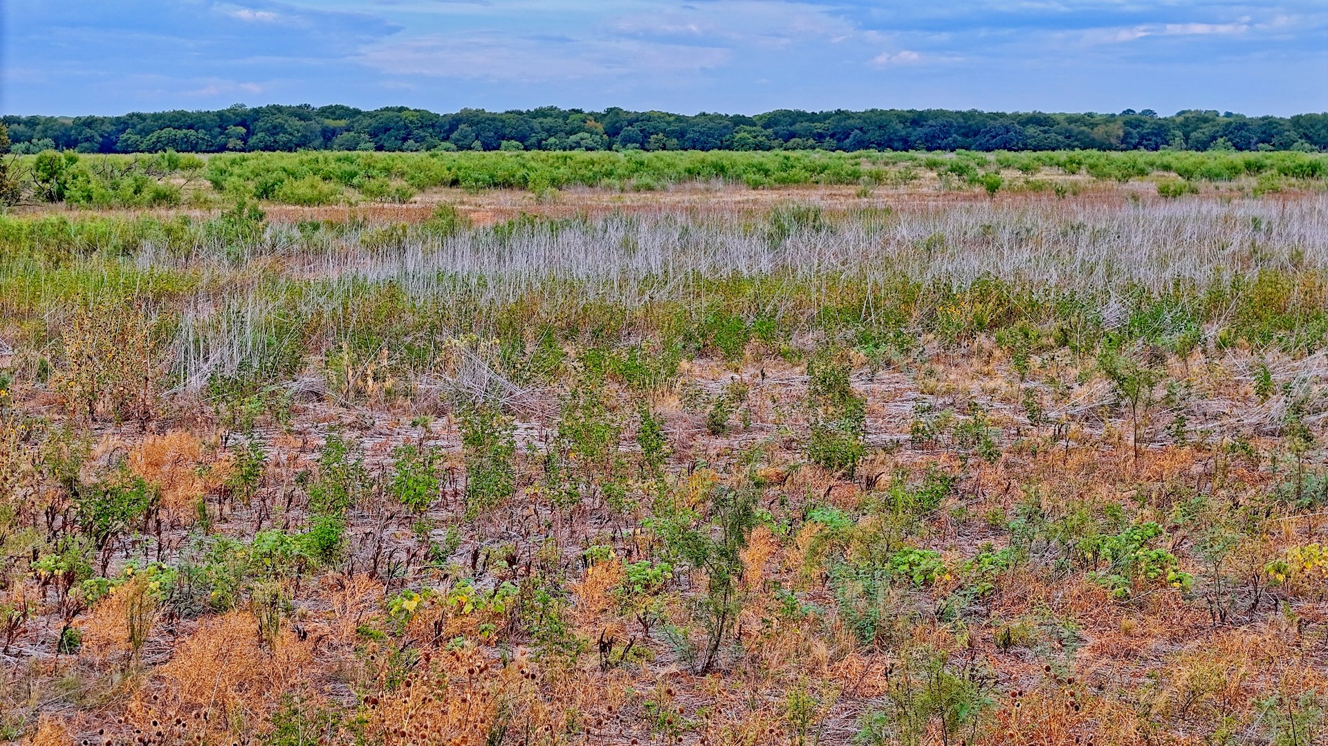 Cross Creek Ranch 