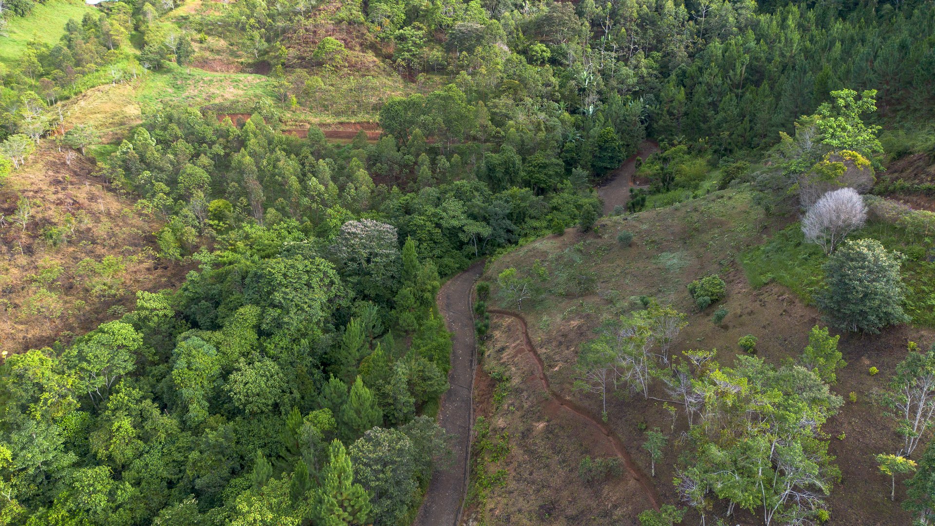 10.21 Acres with Views & Plantels – Pérez Zeledón