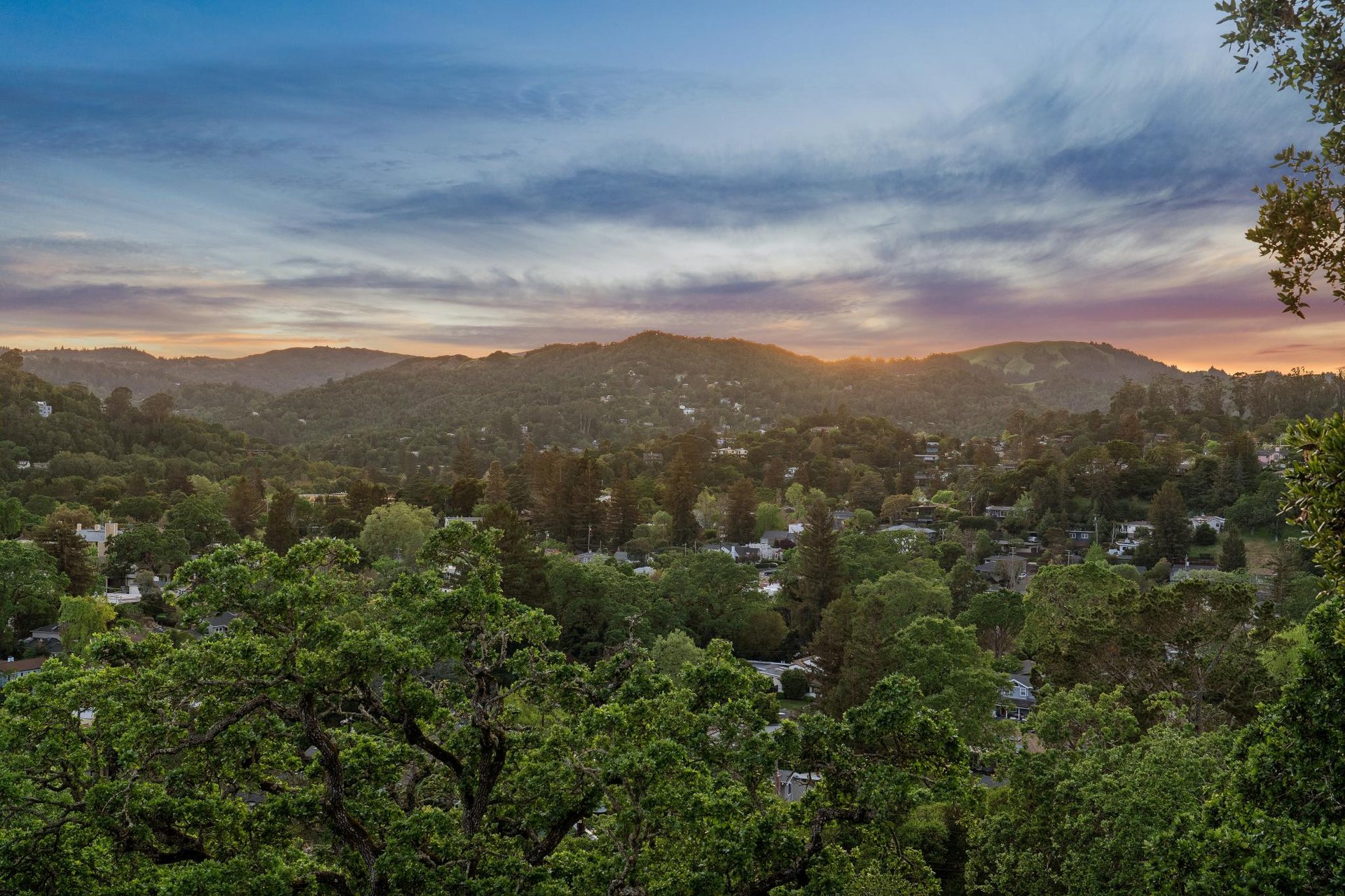 95 Ridge