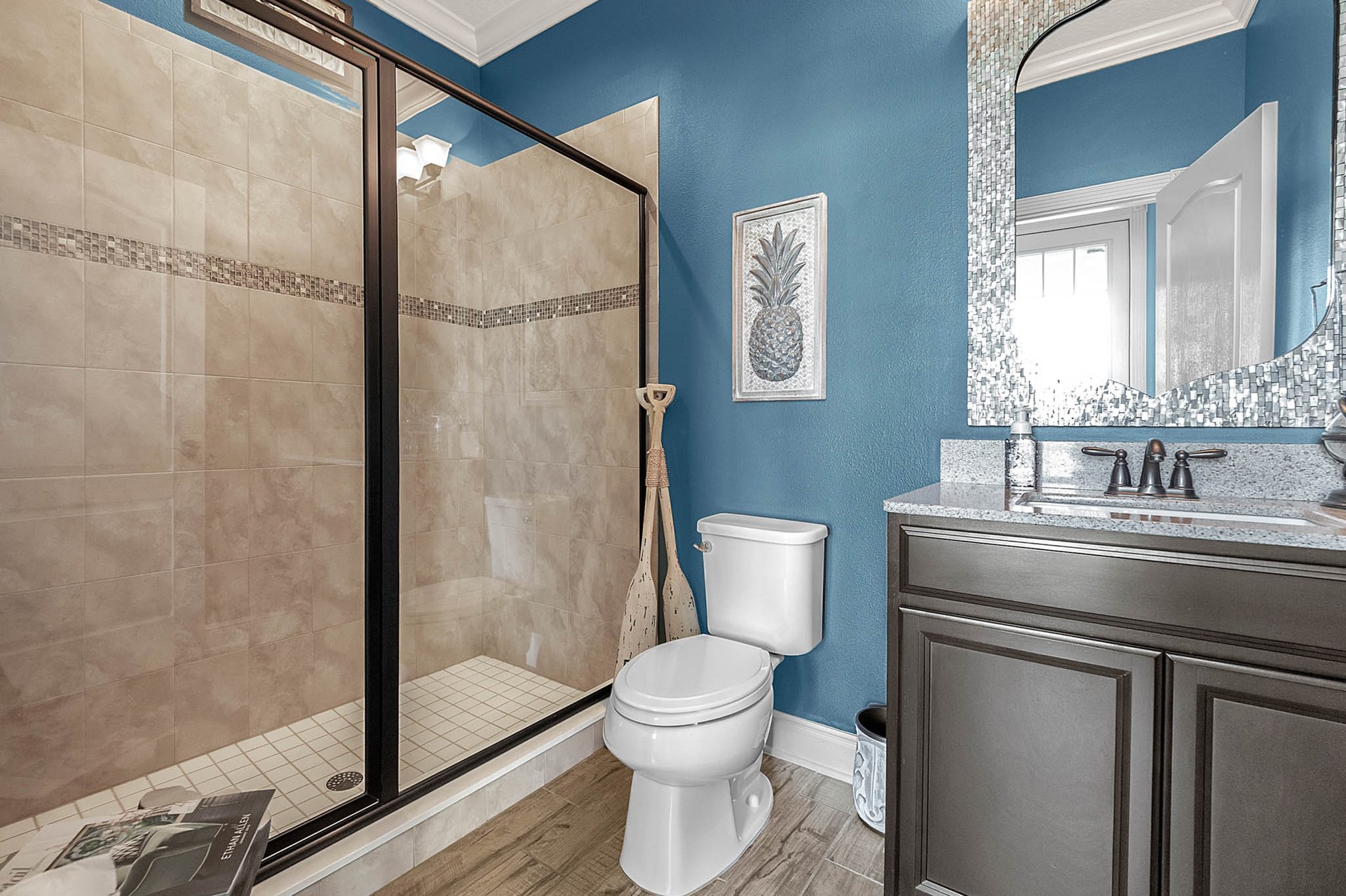 579 Blue Cypress Dr