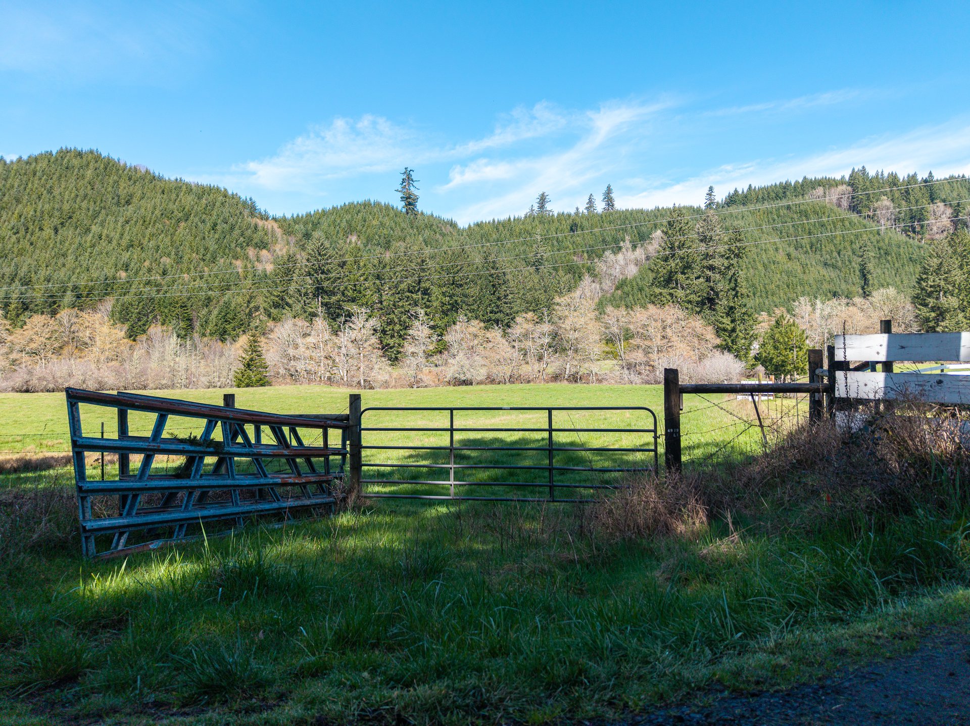 LITTLE ELK TREEFARM