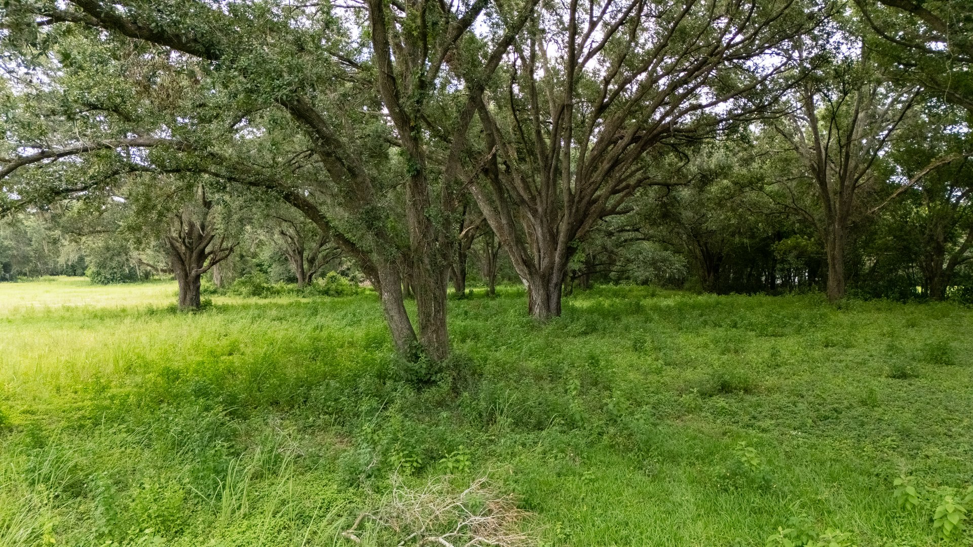 0 FORBES RD