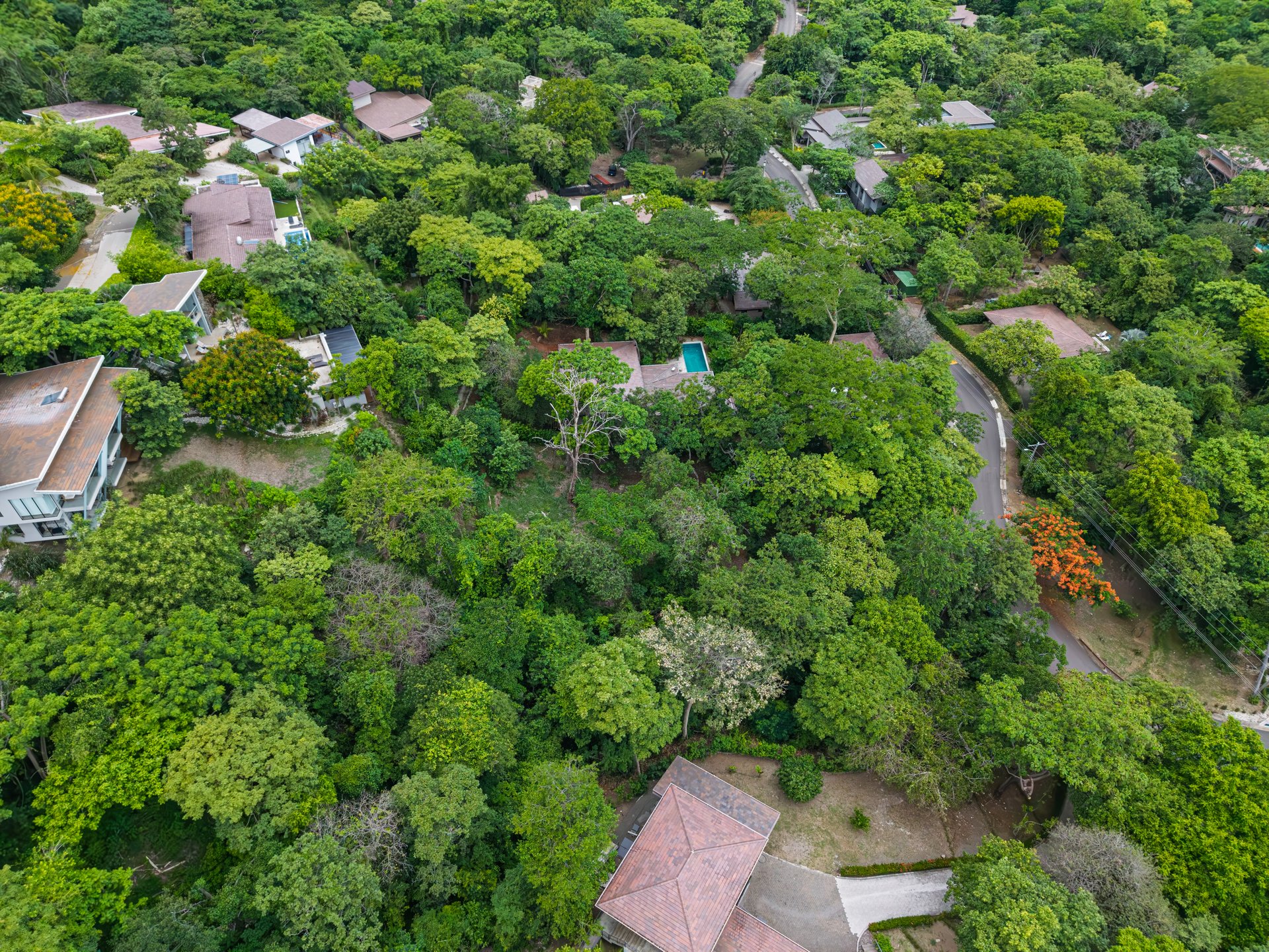 Lot 24 Cara Cara | Exceptional Forest Homesite in Las Ventanas de Playa Grande